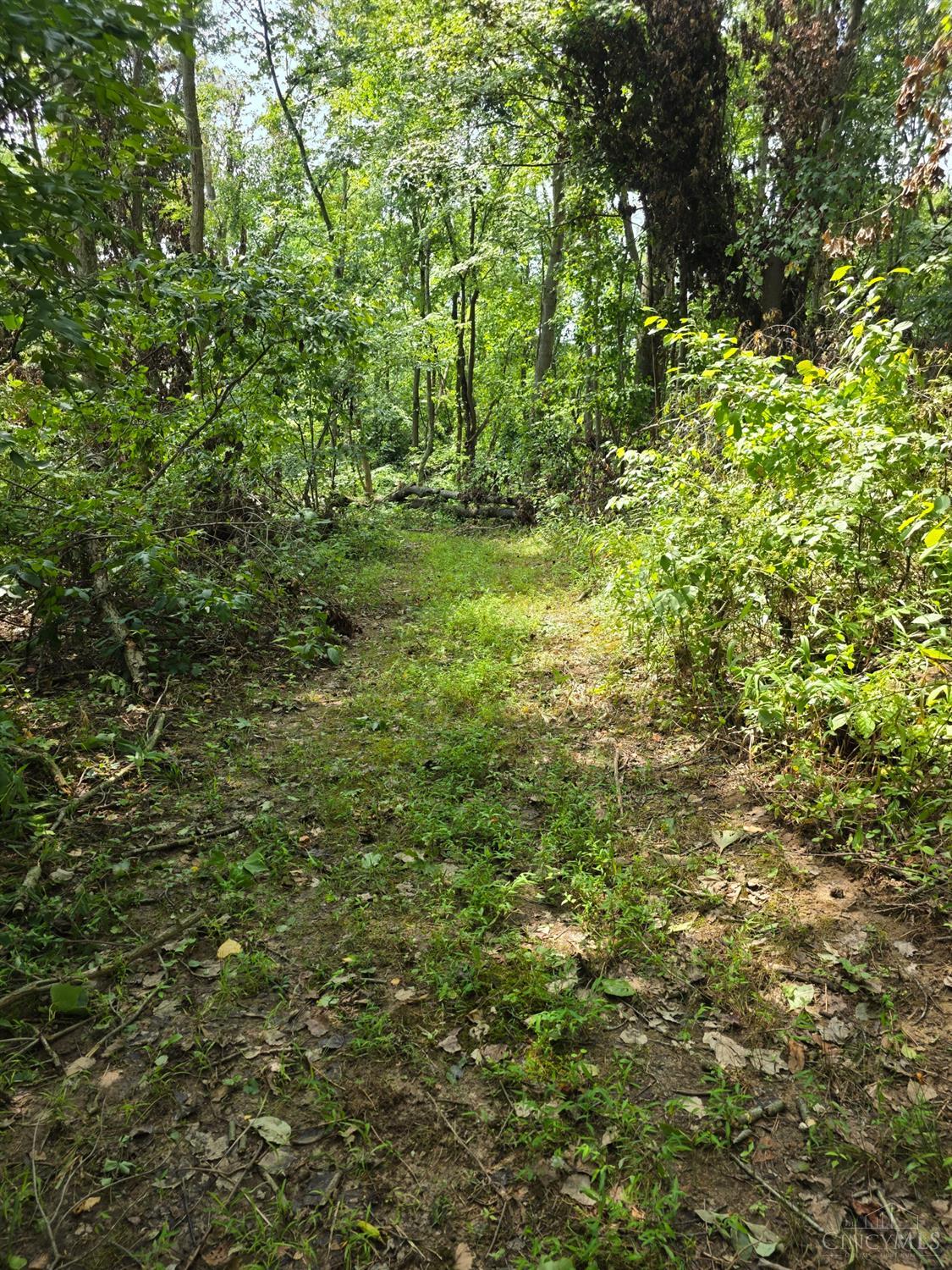 Lot B Fagins Run Road, Pierce Twp, OH, 45157 — photo 20