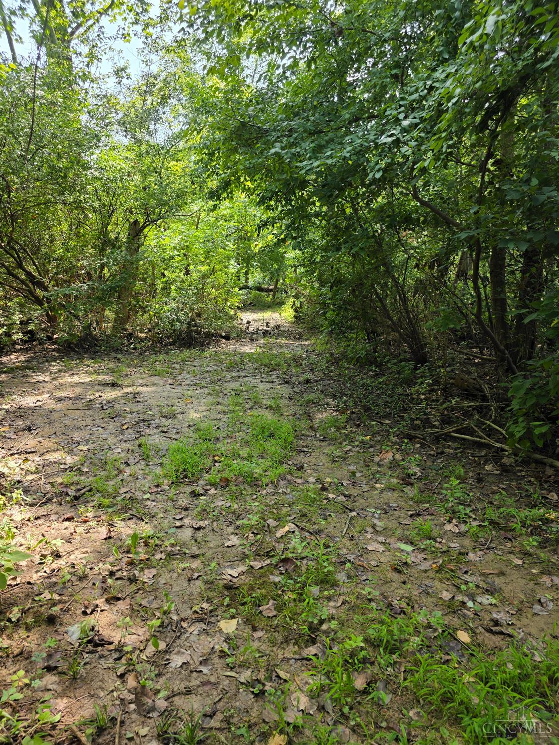 Lot B Fagins Run Road, Pierce Twp, OH, 45157 — photo 19