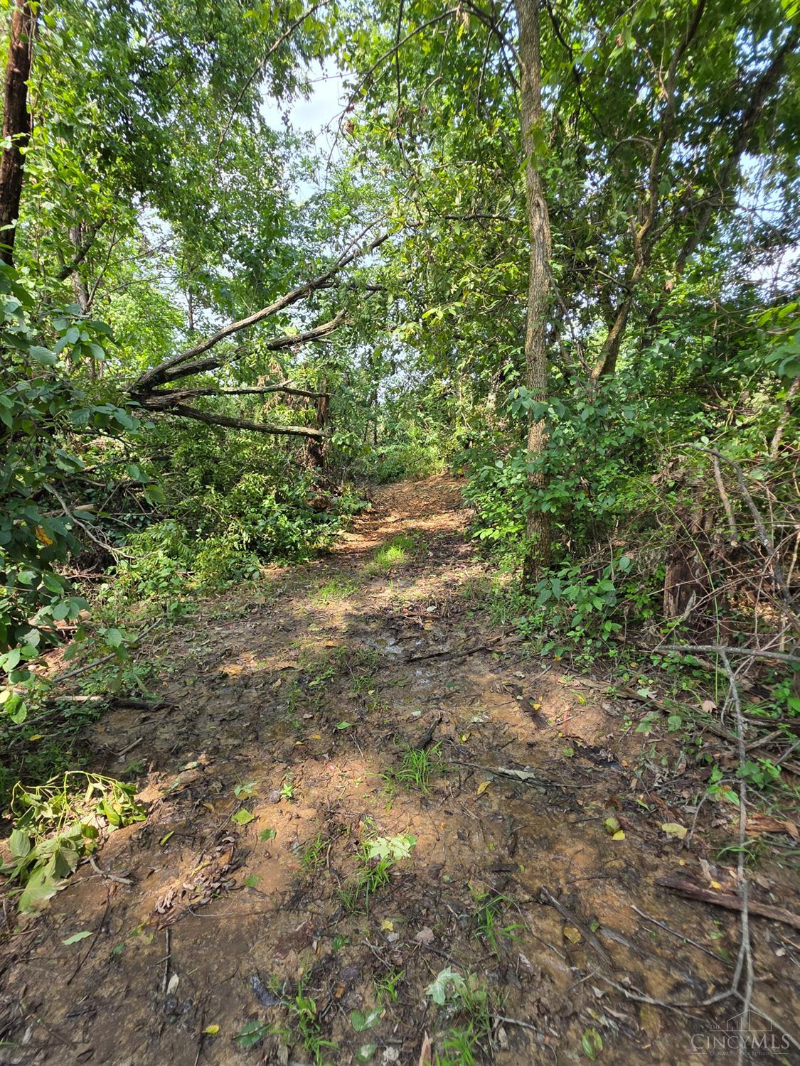 Lot A Fagins Run Road, Pierce Twp, OH, 45157 — photo 20