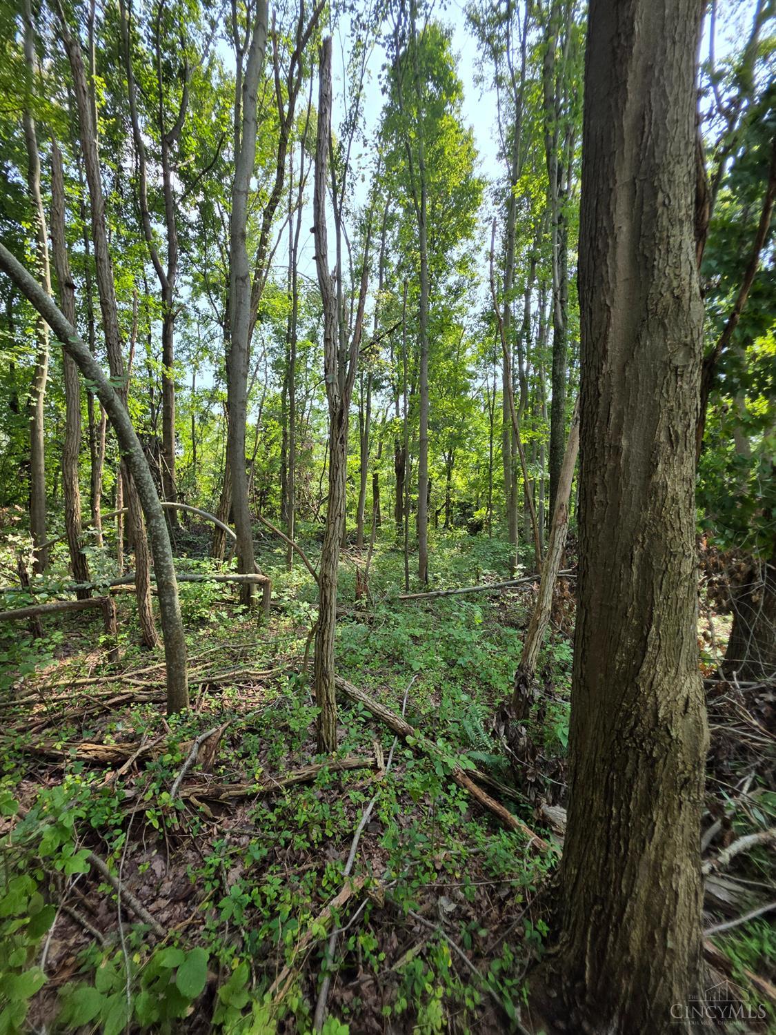 Lot B Fagins Run Road, Pierce Twp, OH, 45157 — photo 6