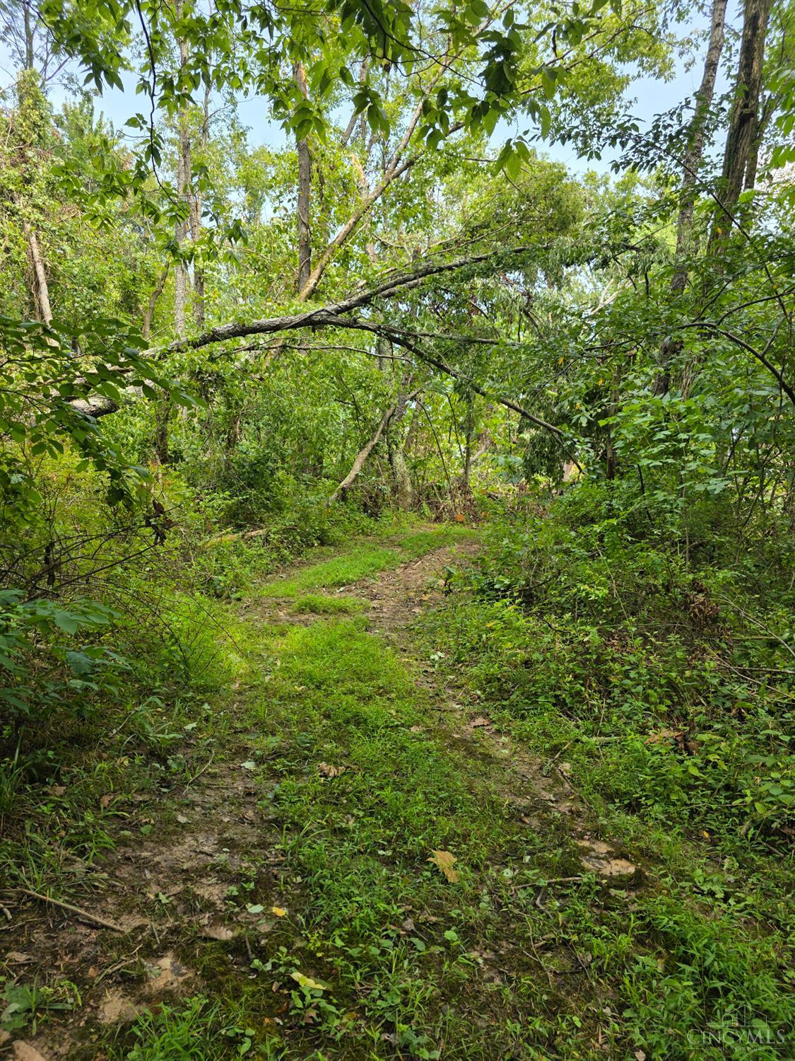 Lot B Fagins Run Road, Pierce Twp, OH, 45157 — photo 11