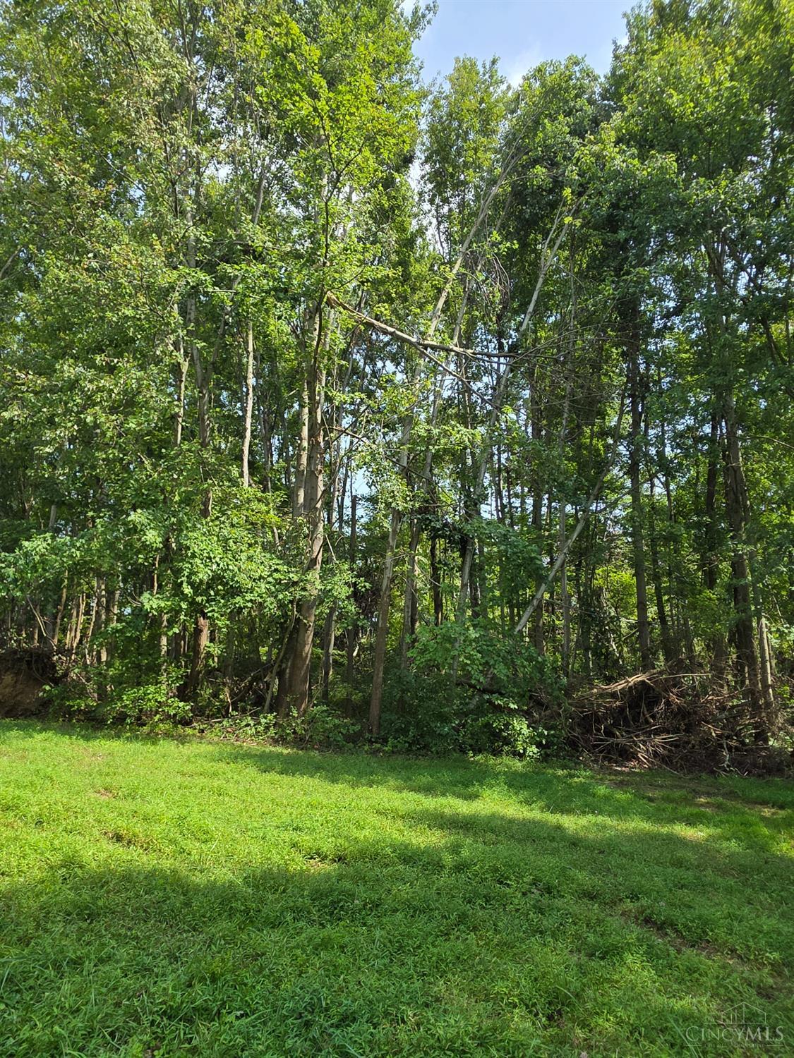 Lot B Fagins Run Road, Pierce Twp, OH, 45157 — photo 5