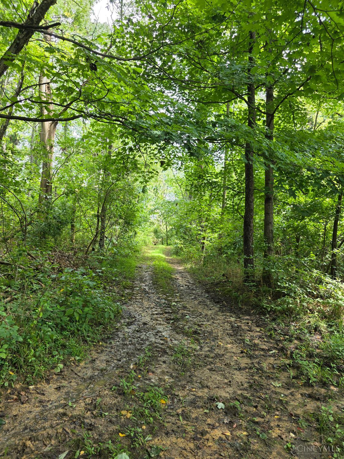 Lot B Fagins Run Road, Pierce Twp, OH, 45157 — photo 12