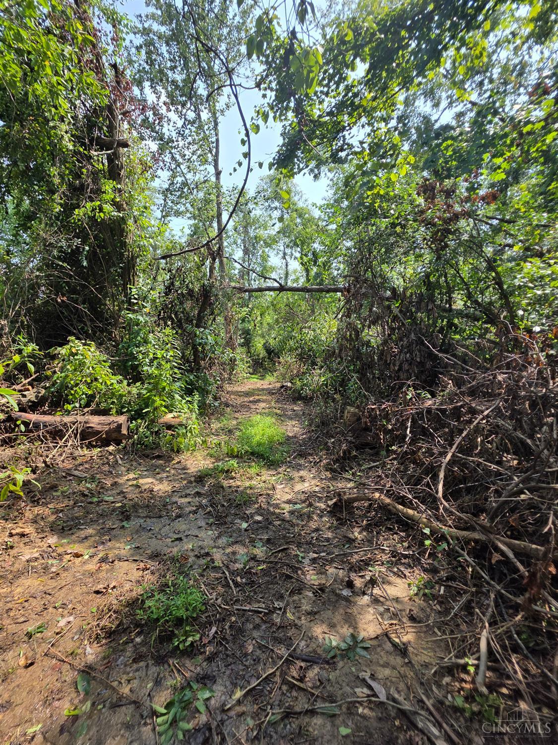 Lot A Fagins Run Road, Pierce Twp, OH, 45157 — photo 21