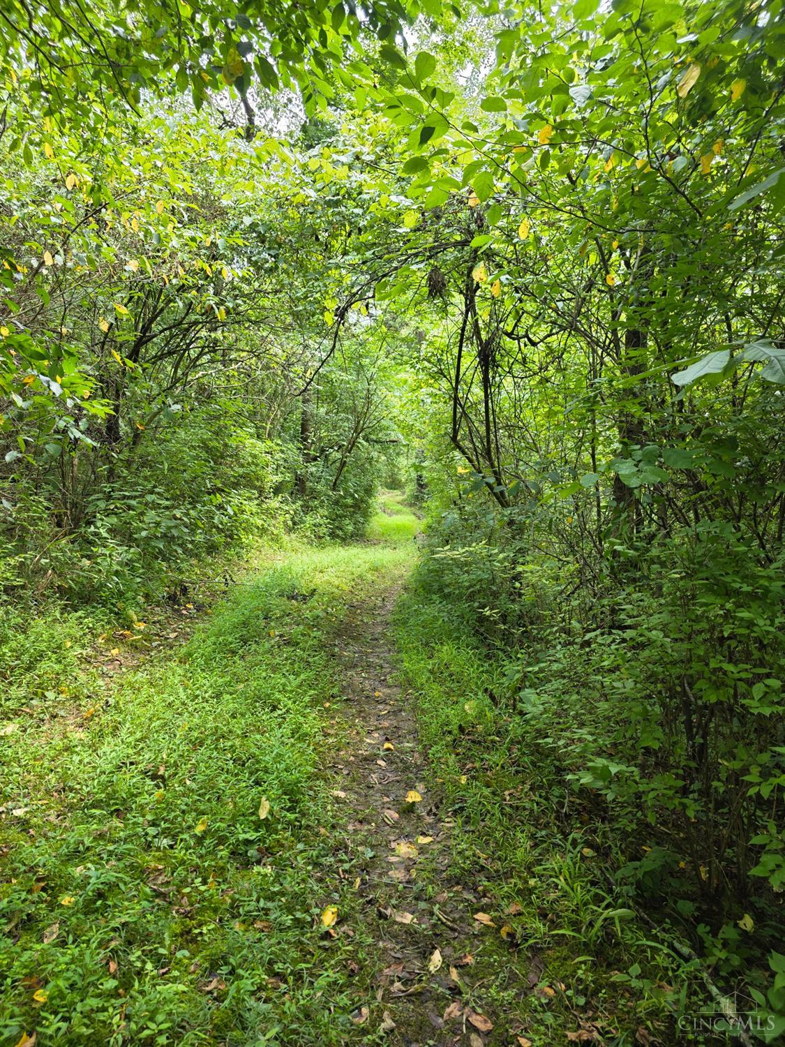 Lot B Fagins Run Road, Pierce Twp, OH, 45157 — photo 15