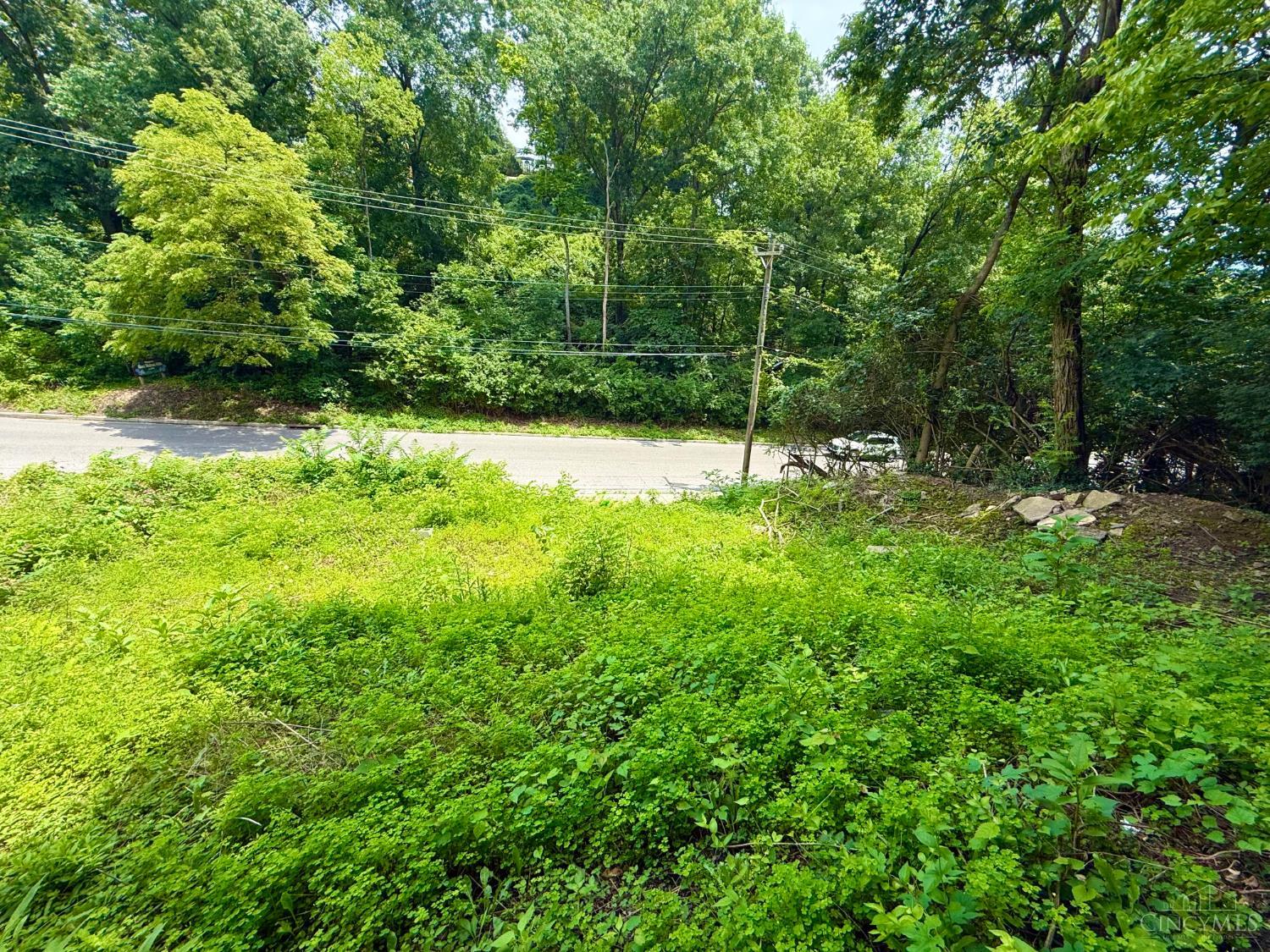 423 Collins Avenue, Cincinnati, OH, 45202 — photo 3