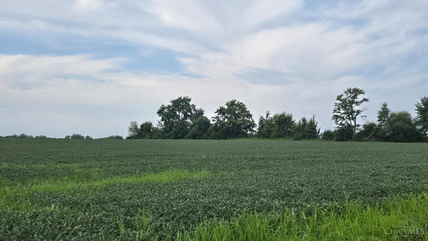 Fairground Road, Marion Twp, OH, 45107 — photo 5