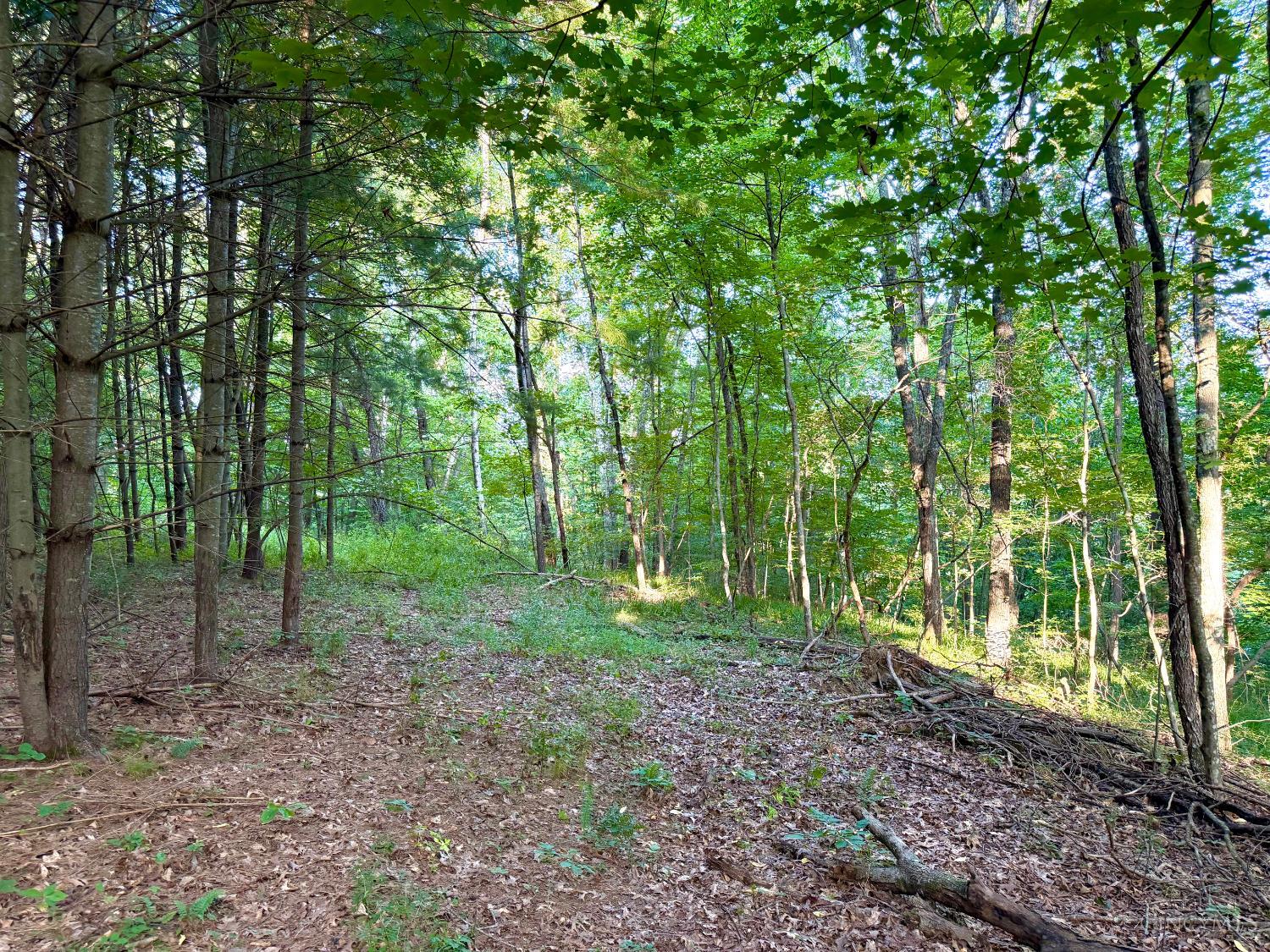 Keesee Road, Morgan Twp, OH, 45686 — photo 50