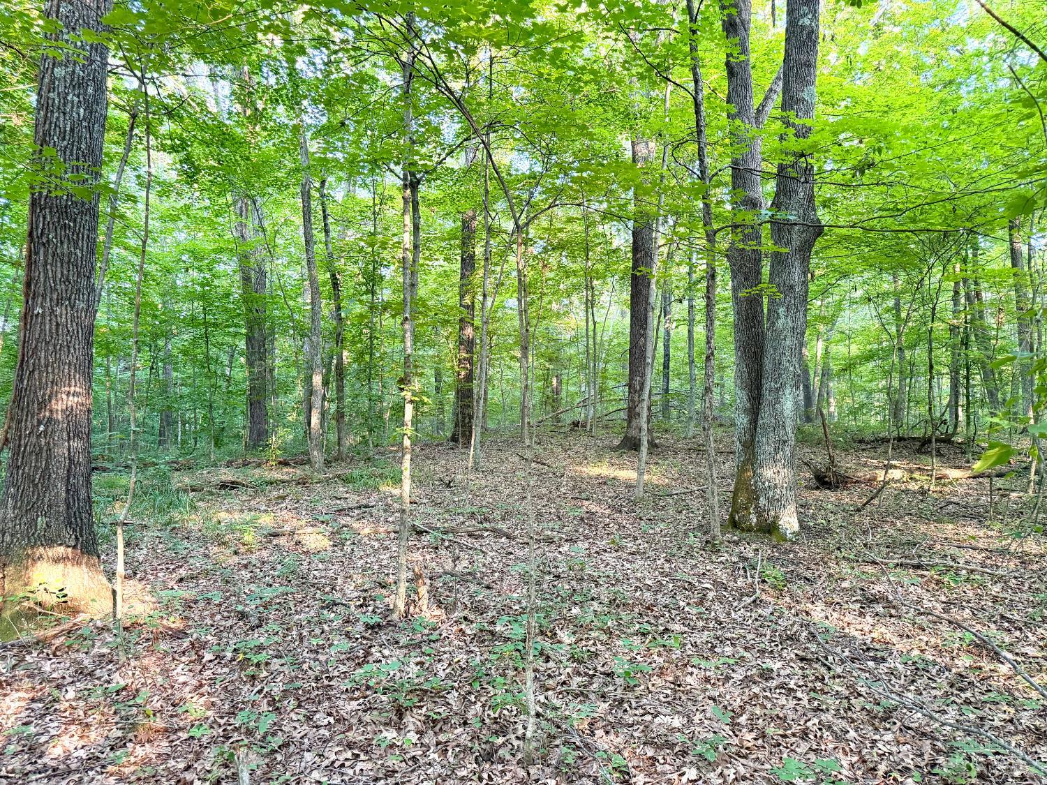 Keesee Road, Morgan Twp, OH, 45686 — photo 20