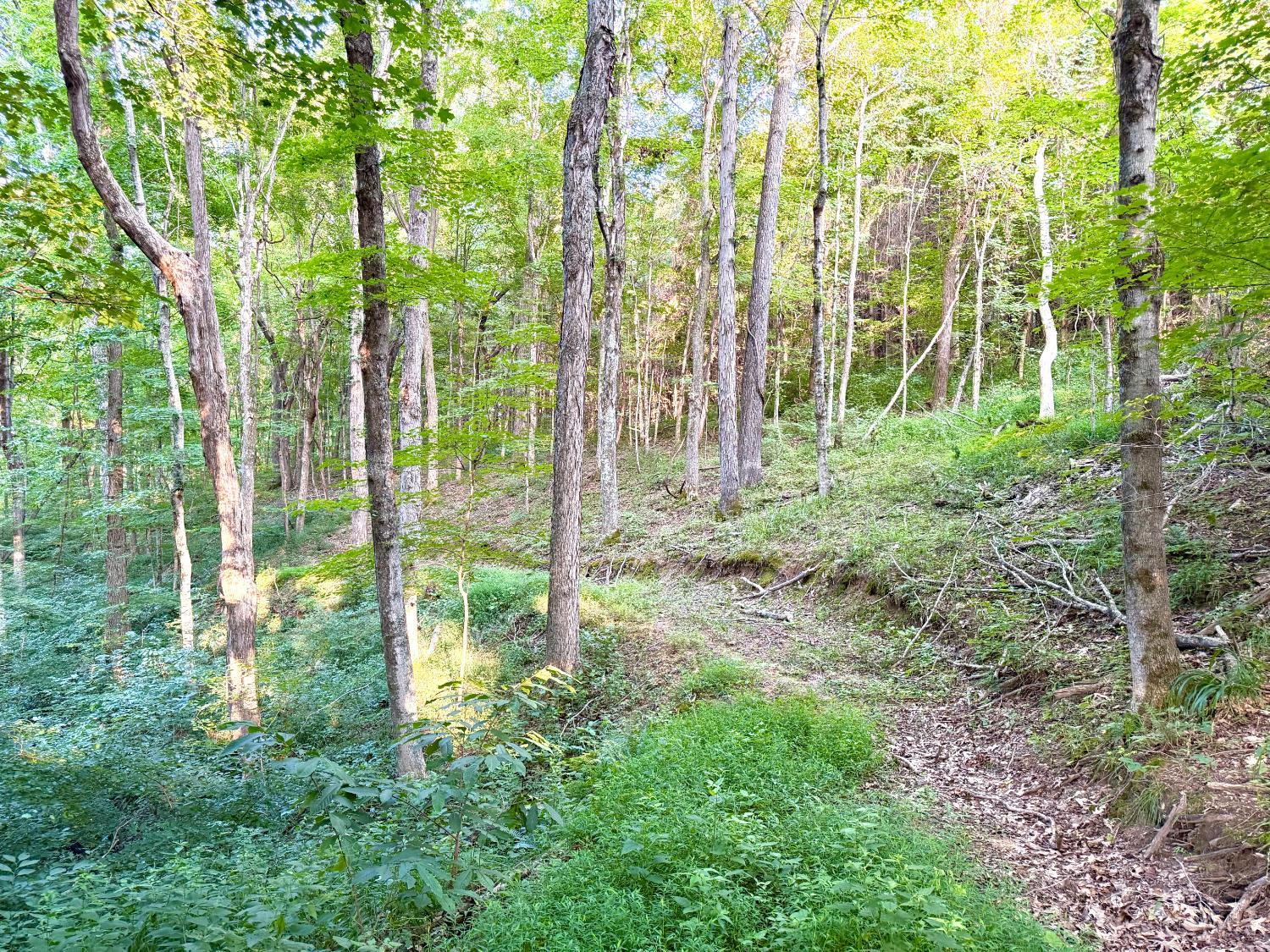 Keesee Road, Morgan Twp, OH, 45686 — photo 55