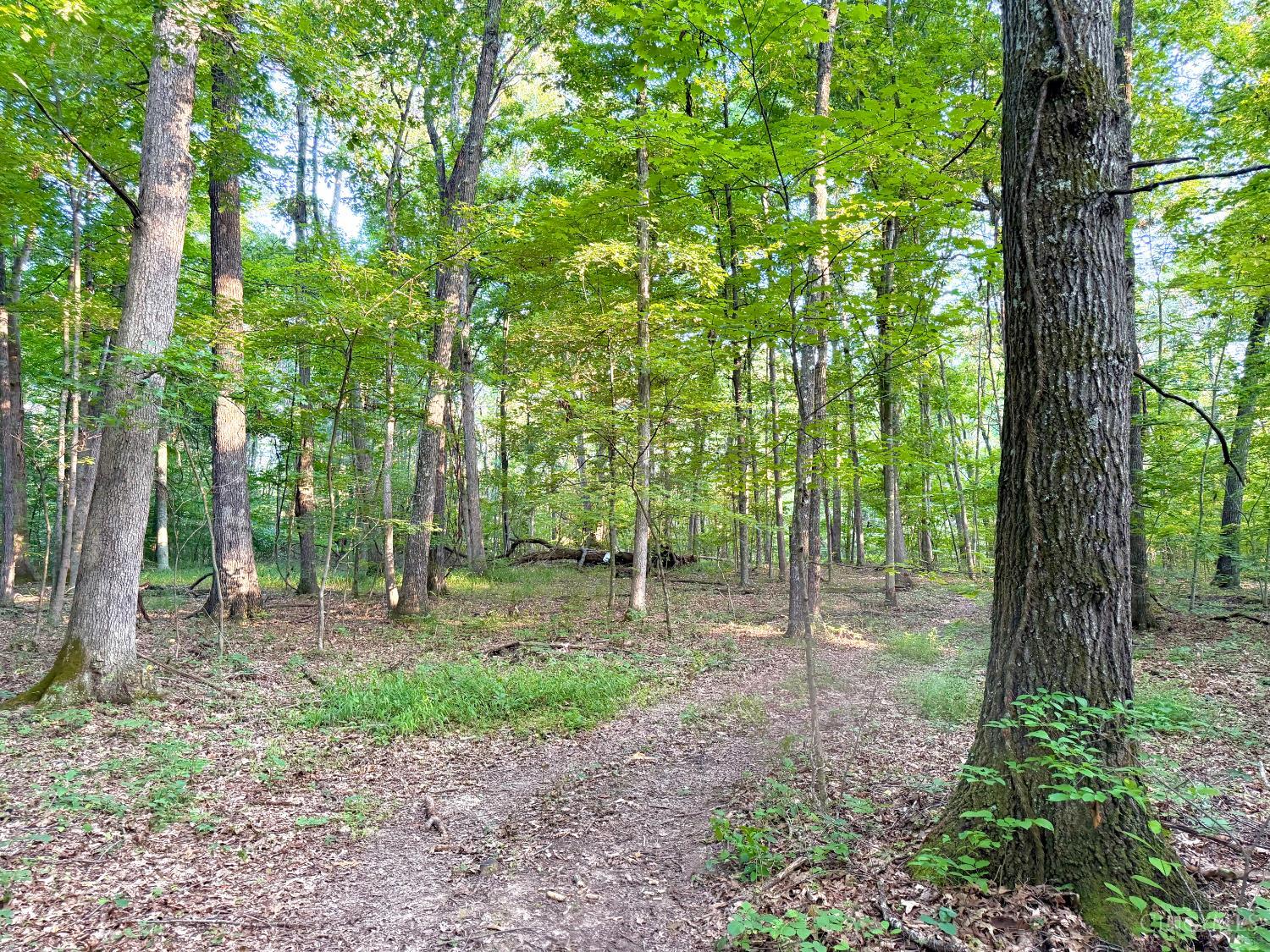 Keesee Road, Morgan Twp, OH, 45686 — photo 4