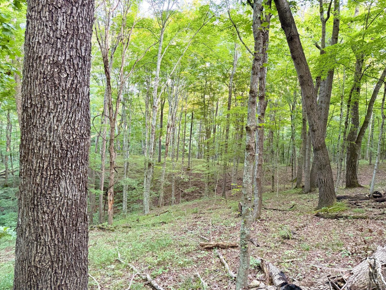 Keesee Road, Morgan Twp, OH, 45686 — photo 19