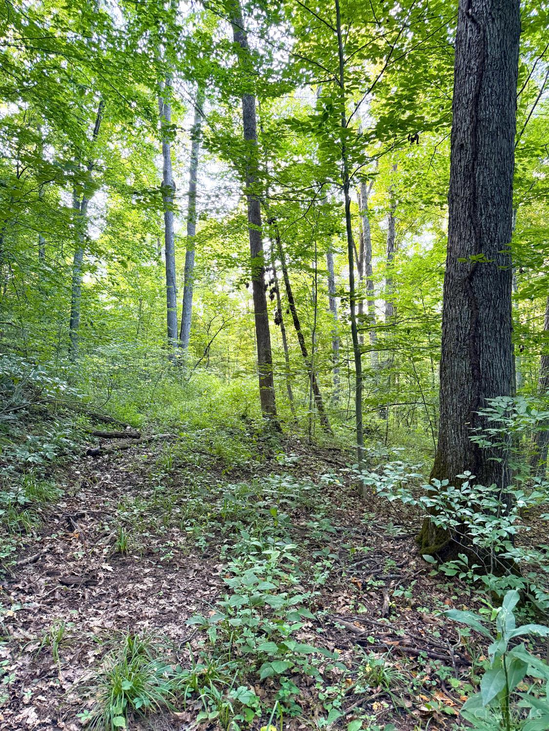 Keesee Road, Morgan Twp, OH, 45686 — photo 44