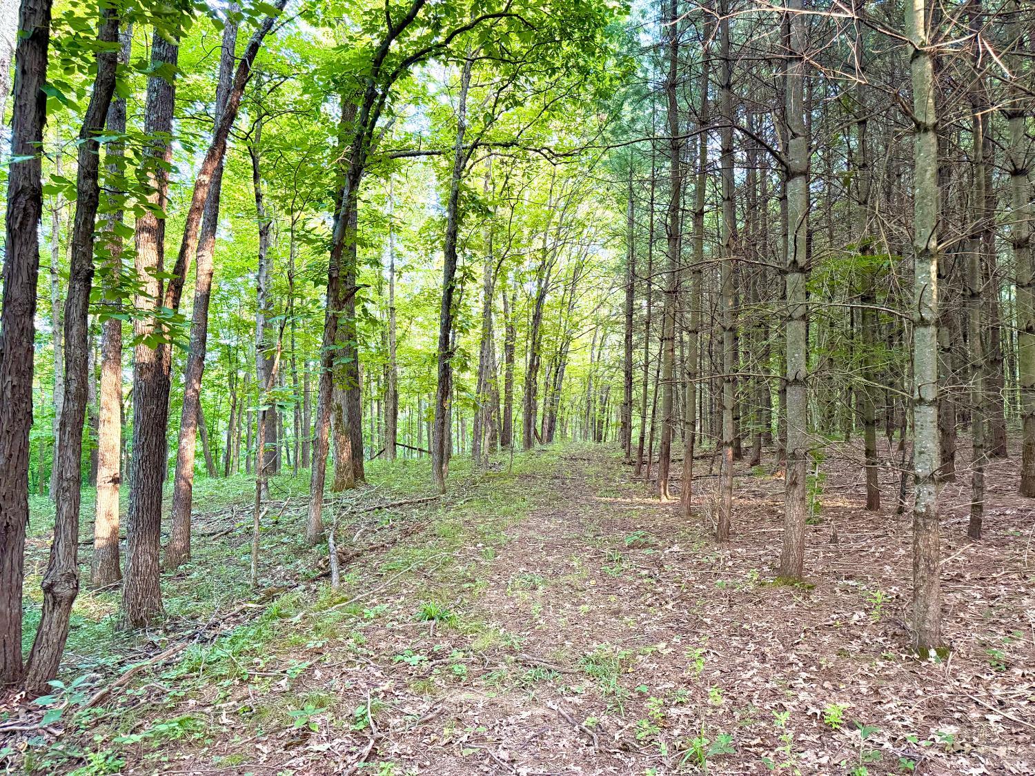 Keesee Road, Morgan Twp, OH, 45686 — photo 45