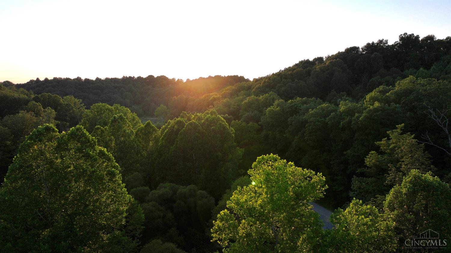 Keesee Road, Morgan Twp, OH, 45686 — photo 27