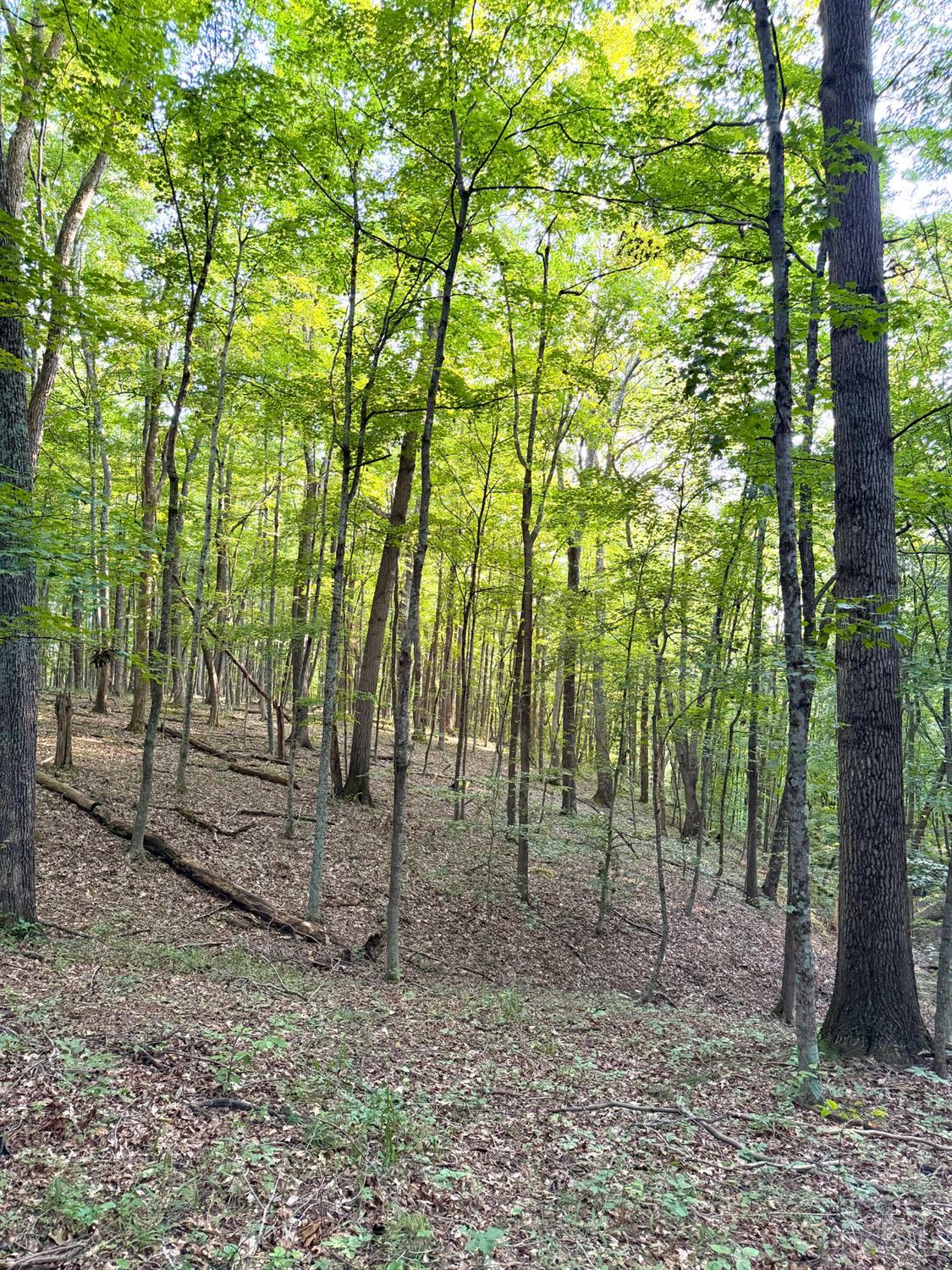 Keesee Road, Morgan Twp, OH, 45686 — photo 60