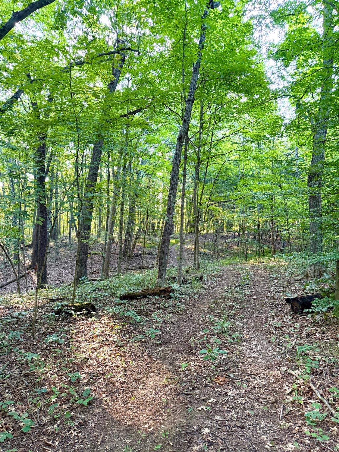 Keesee Road, Morgan Twp, OH, 45686 — photo 59