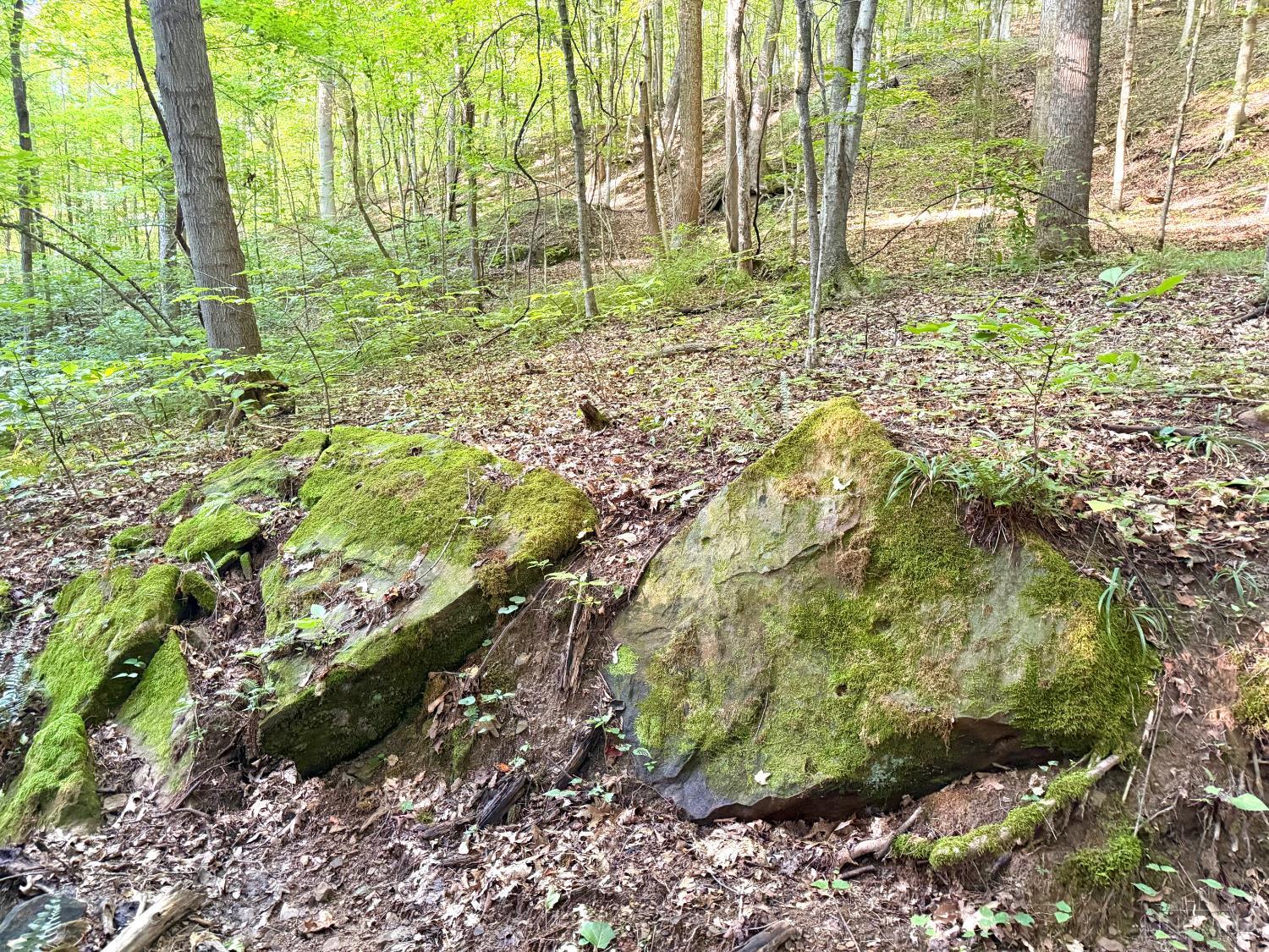 Keesee Road, Morgan Twp, OH, 45686 — photo 10