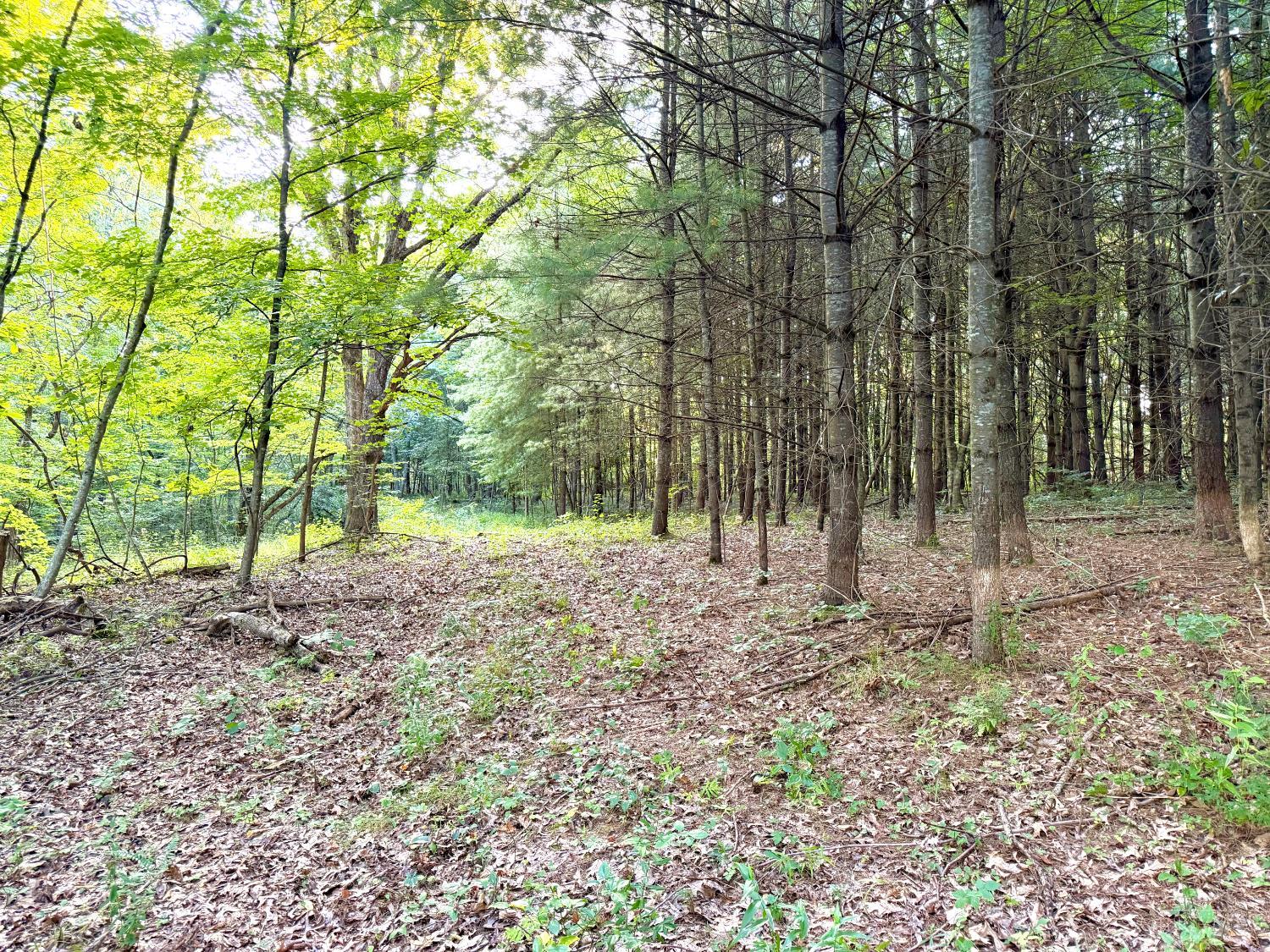 Keesee Road, Morgan Twp, OH, 45686 — photo 56