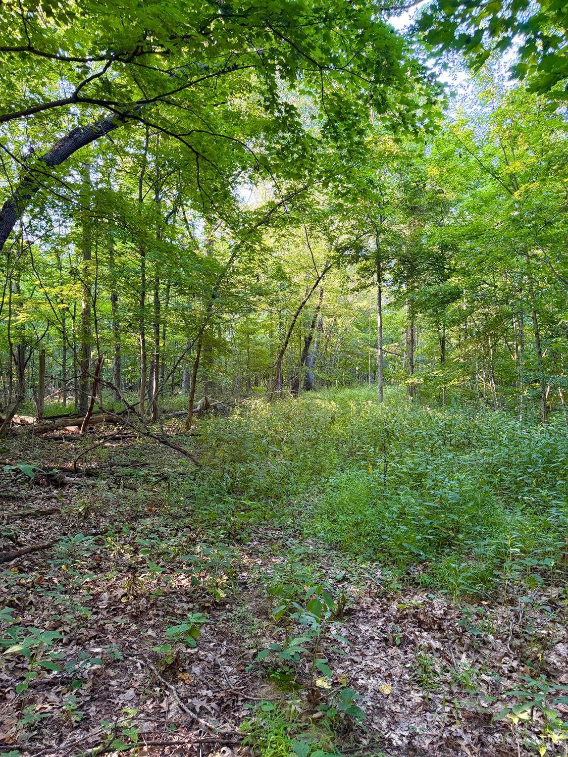 Keesee Road, Morgan Twp, OH, 45686 — photo 37