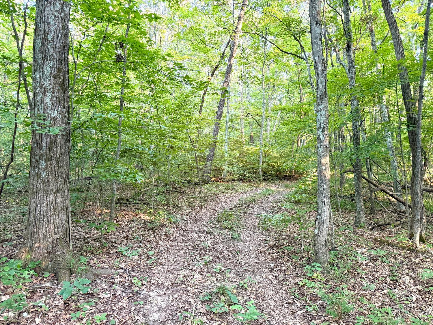 Keesee Road, Morgan Twp, OH, 45686 — photo 47