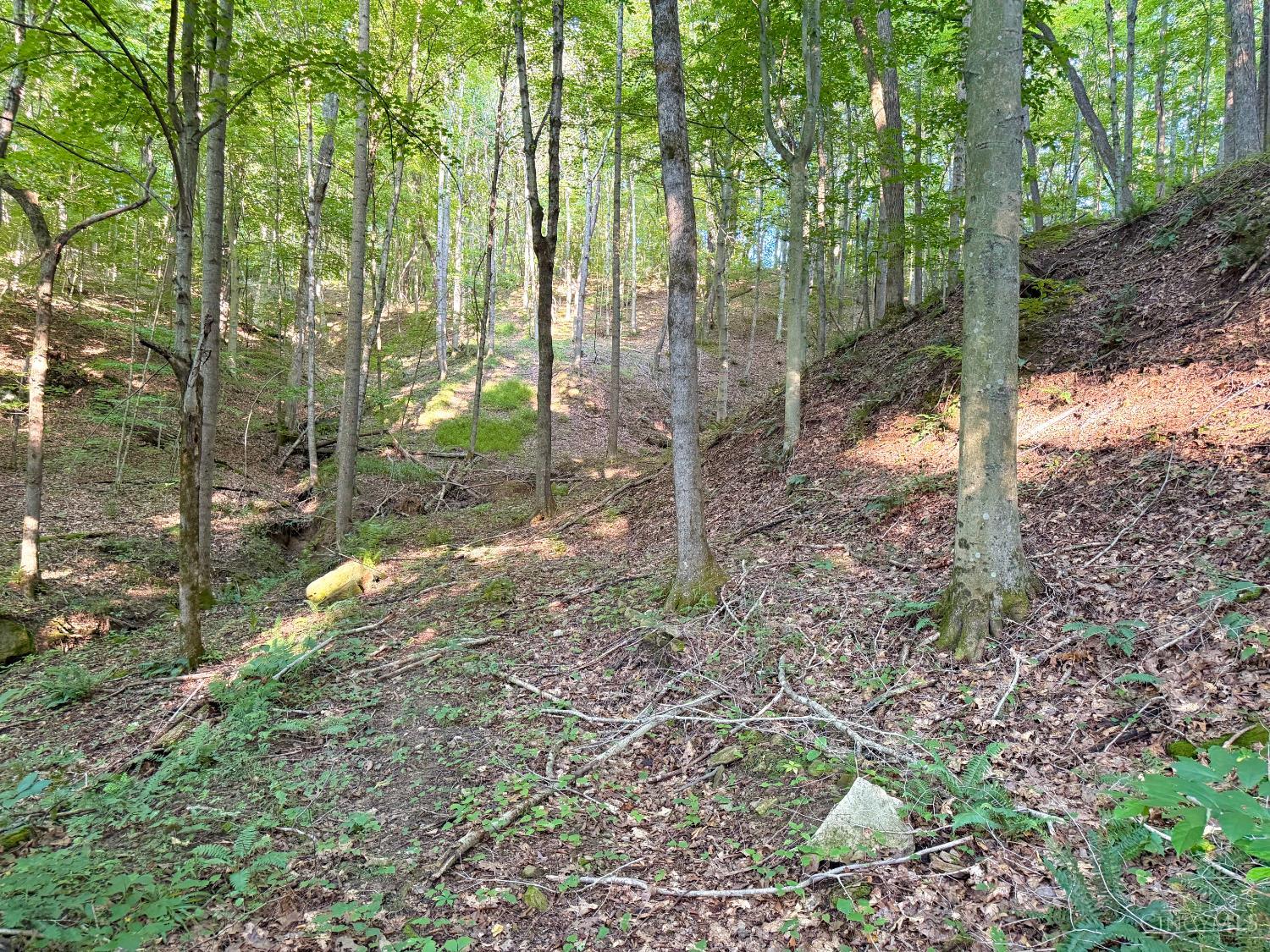 Keesee Road, Morgan Twp, OH, 45686 — photo 7