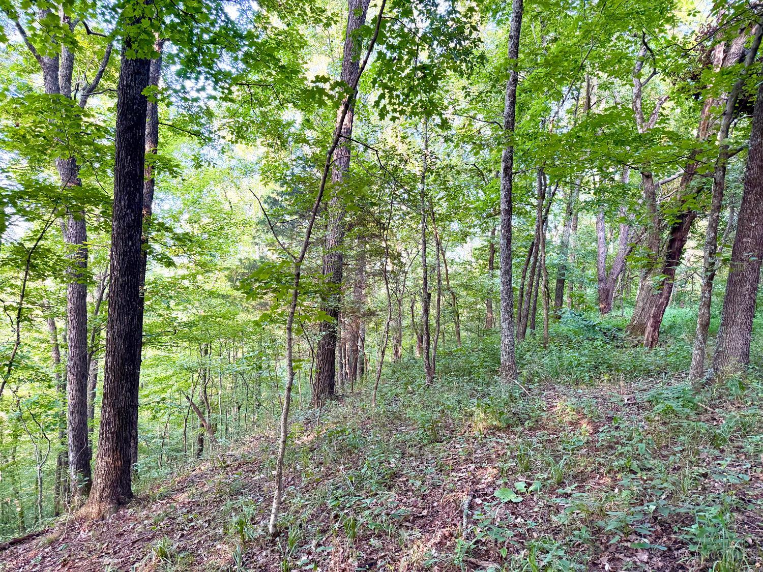 Keesee Road, Morgan Twp, OH, 45686 — photo 52