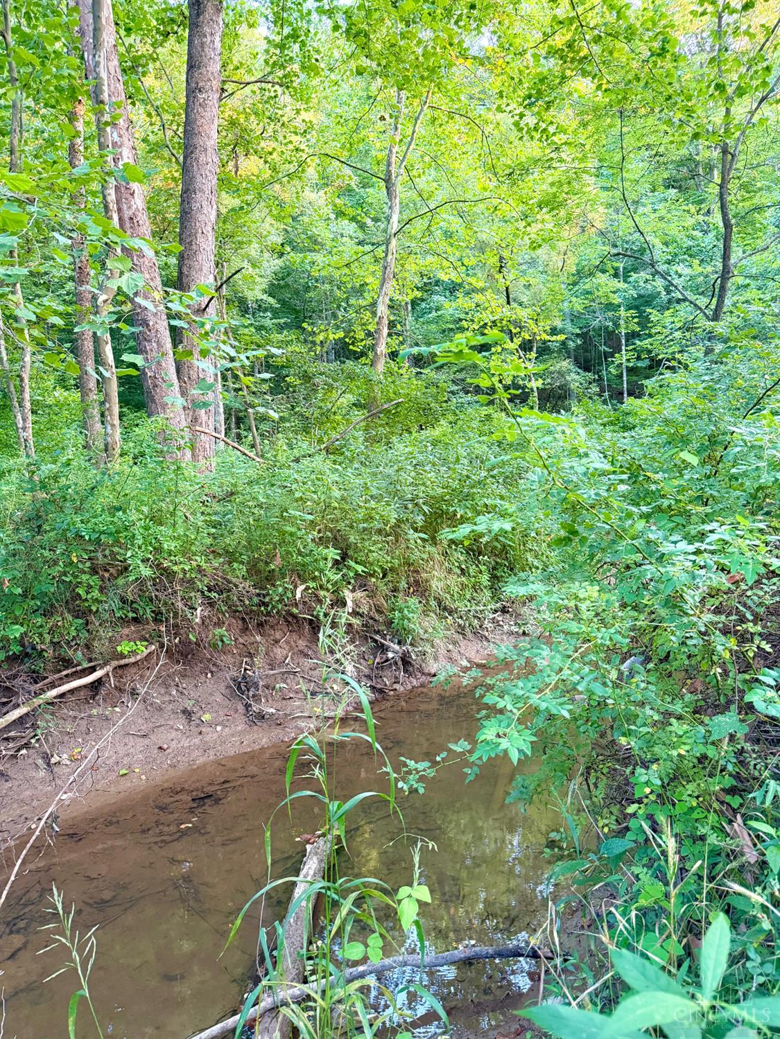 Keesee Road, Morgan Twp, OH, 45686 — photo 32