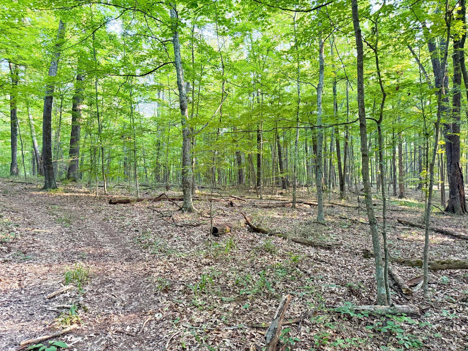Keesee Road, Morgan Twp, OH, 45686 — photo 63