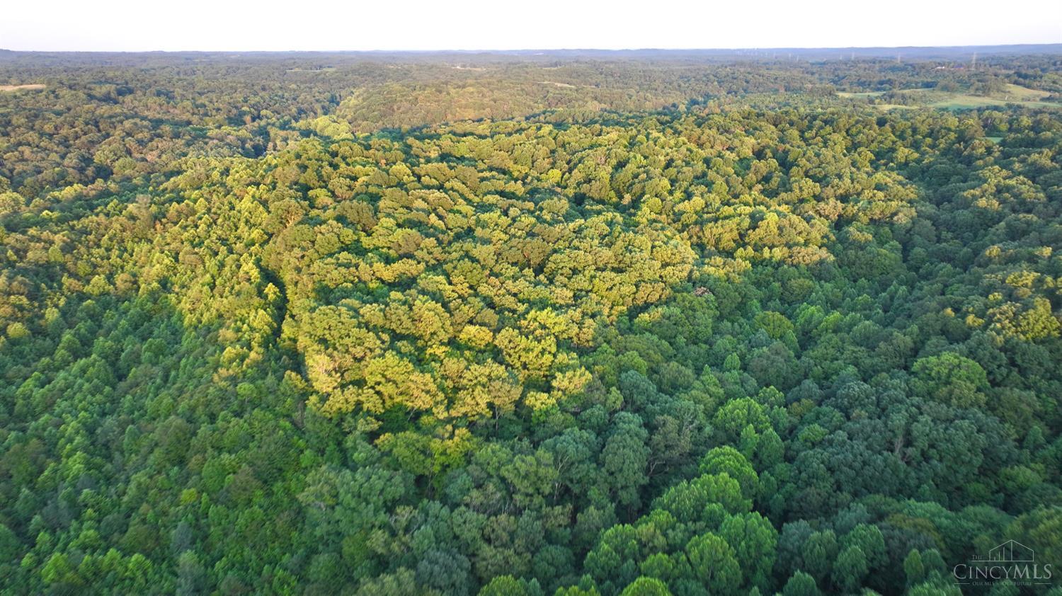 Keesee Road, Morgan Twp, OH, 45686 — photo 16
