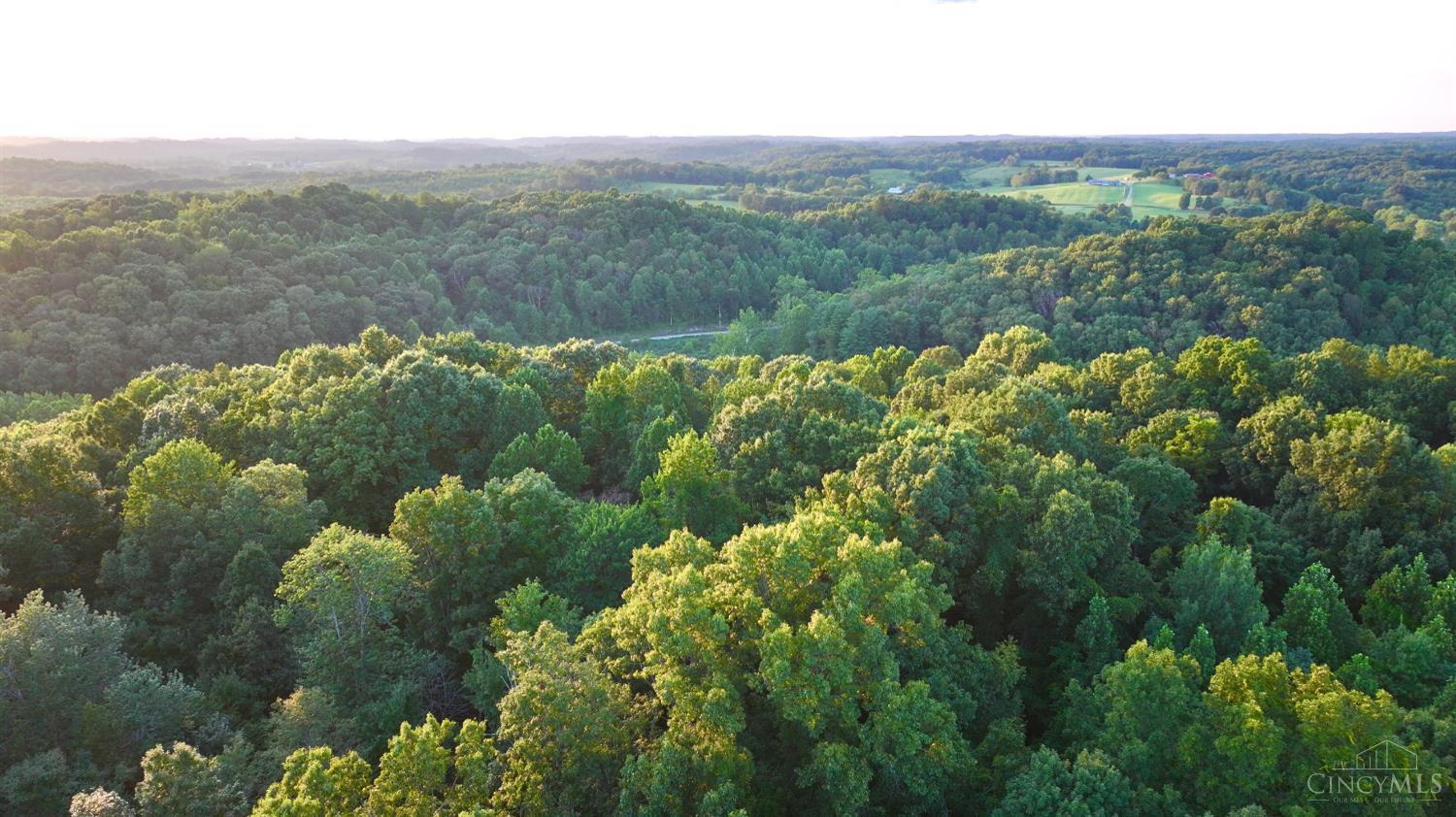 Keesee Road, Morgan Twp, OH, 45686 — photo 23