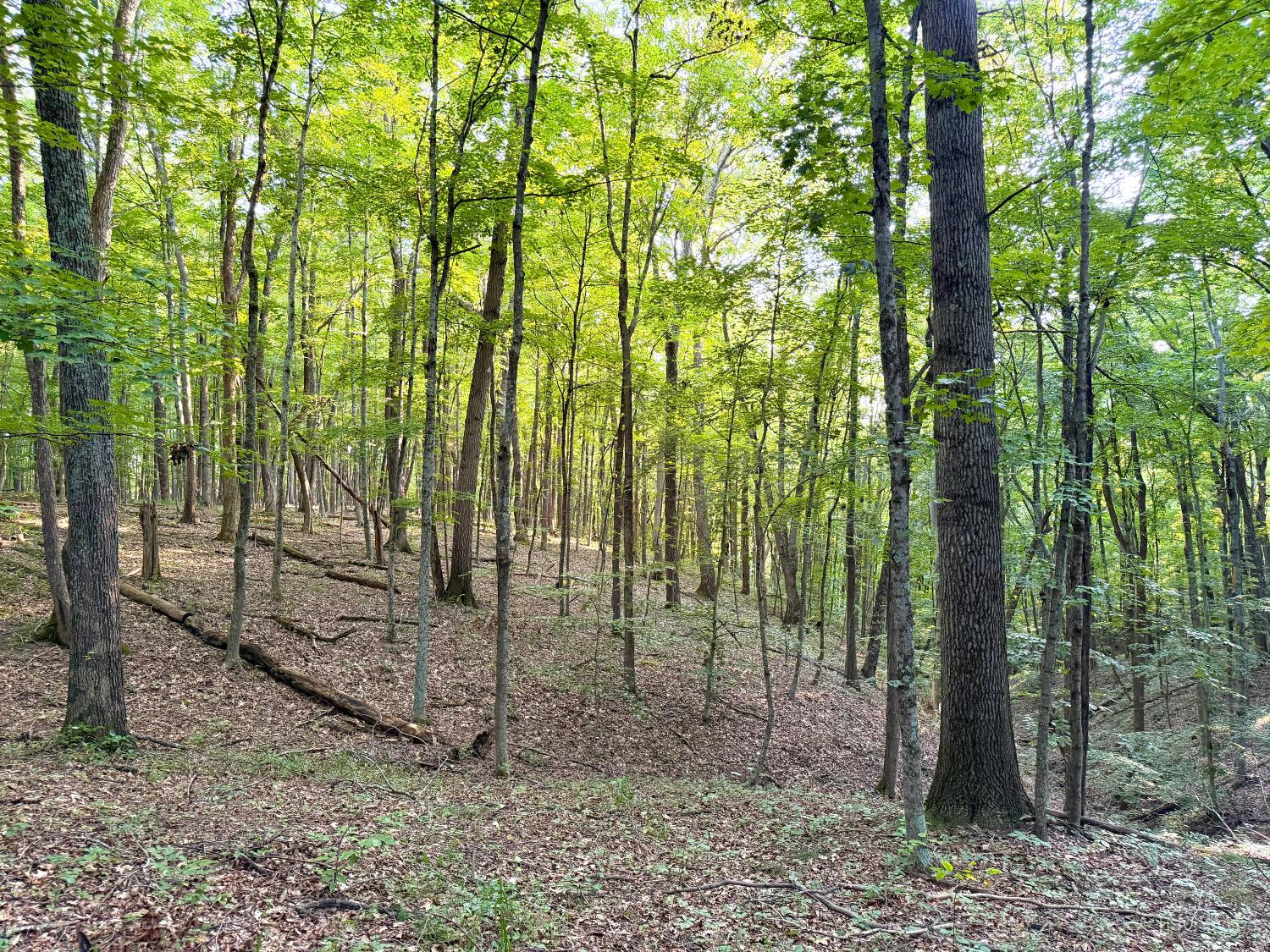 Keesee Road, Morgan Twp, OH, 45686 — photo 48