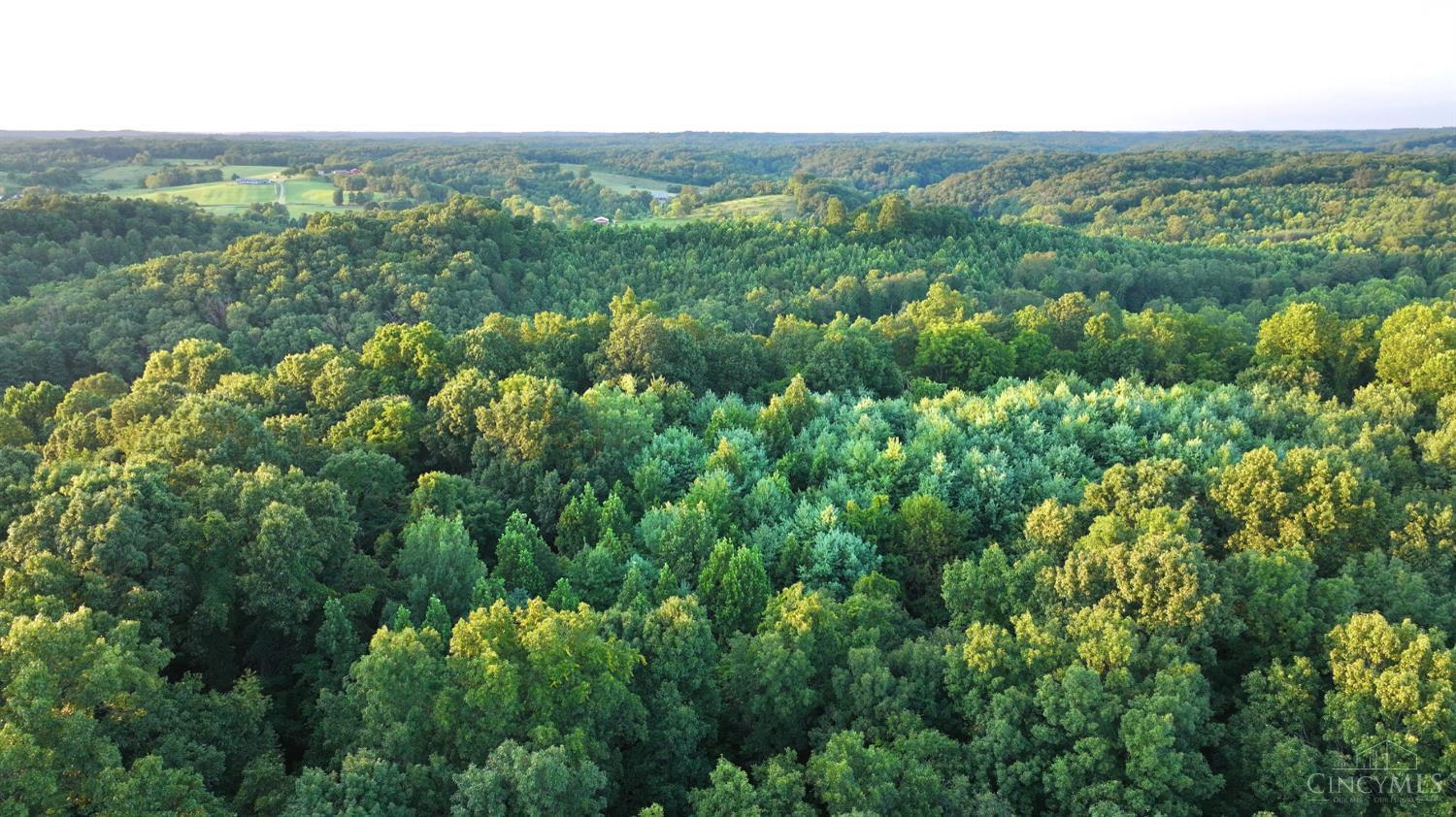 Keesee Road, Morgan Twp, OH, 45686 — photo 17