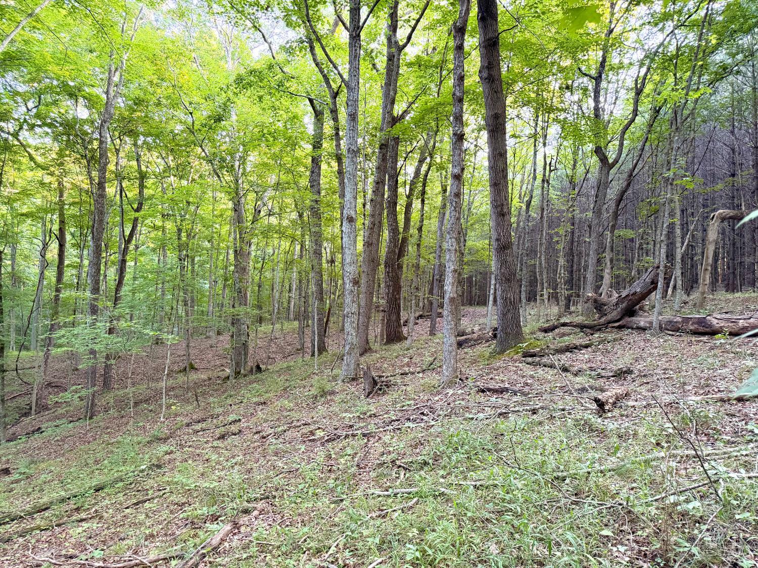Keesee Road, Morgan Twp, OH, 45686 — photo 22