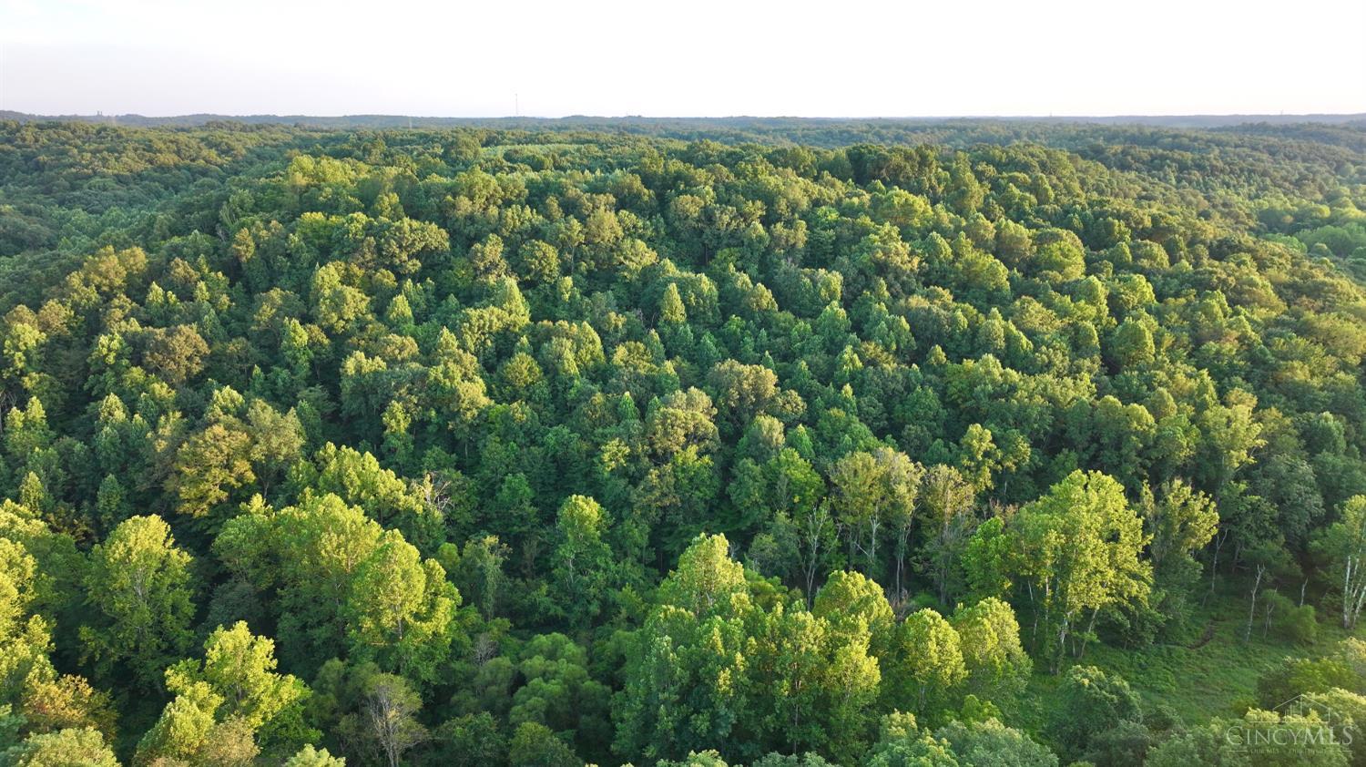 Keesee Road, Morgan Twp, OH, 45686 — photo 18