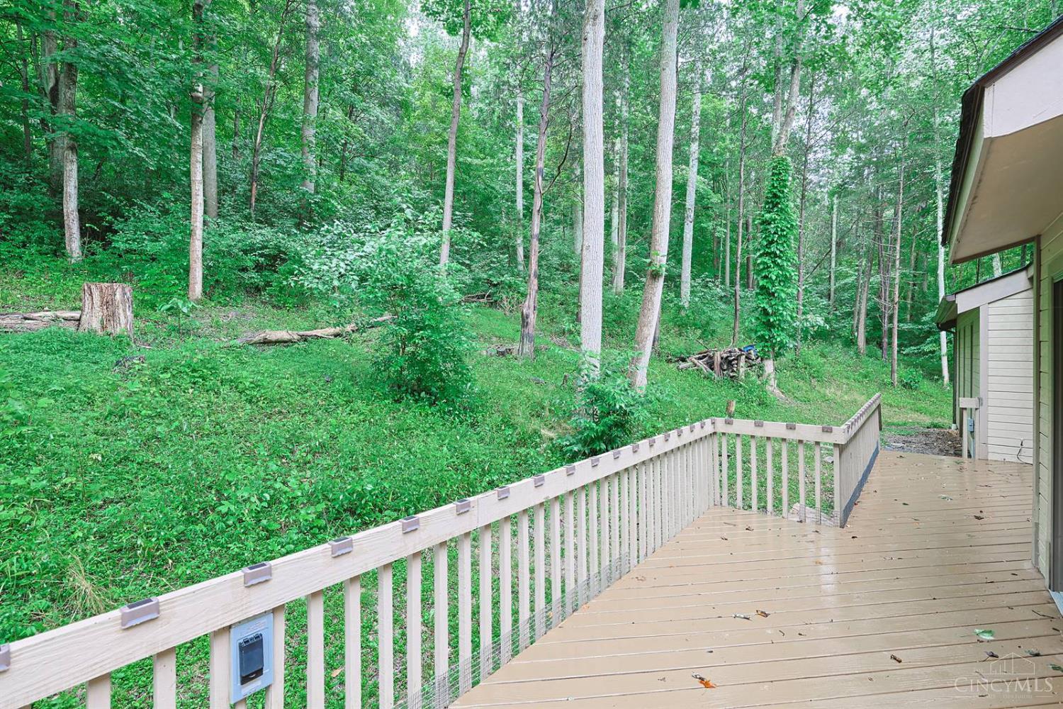 3533 Woodland Trail, Pierce Twp, OH, 45255 — photo 43