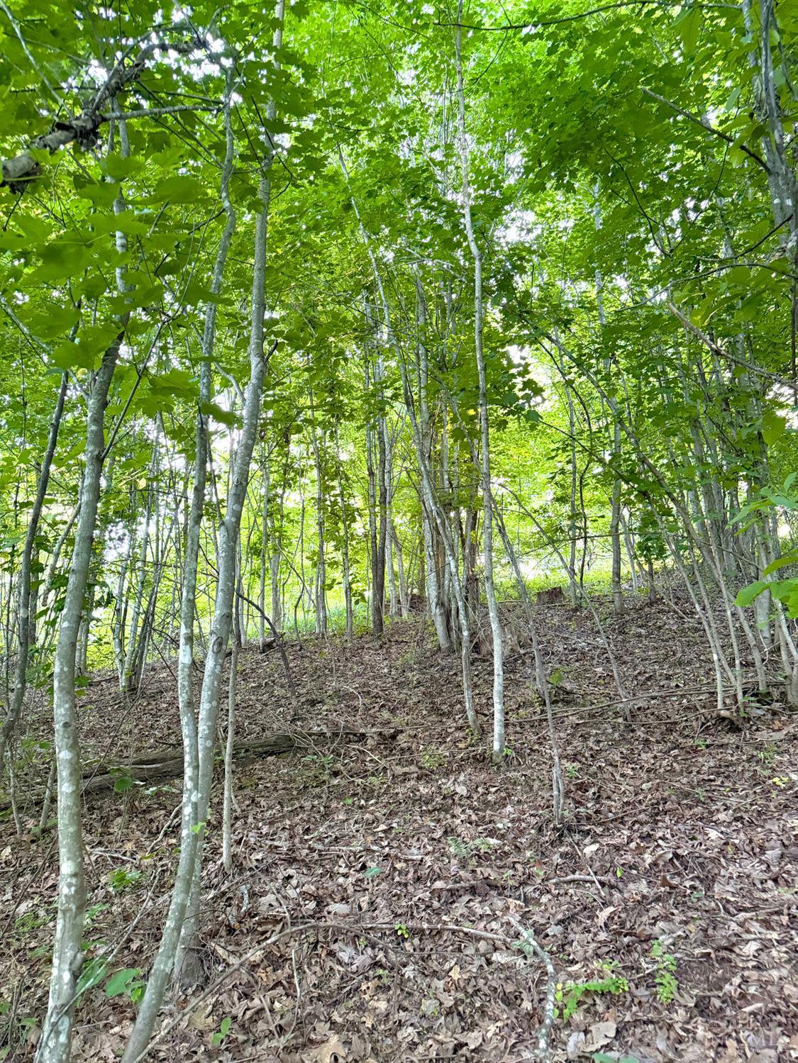 Lick Run Lyra Road, Bloom Twp, OH, 45682 — photo 40