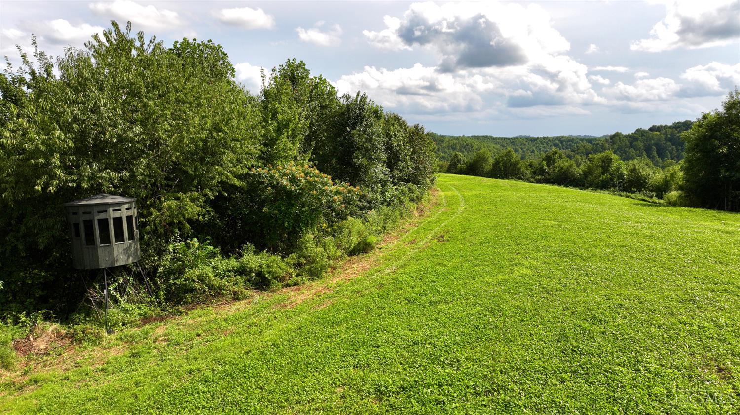 Lick Run Lyra Road, Bloom Twp, OH, 45682 — photo 16