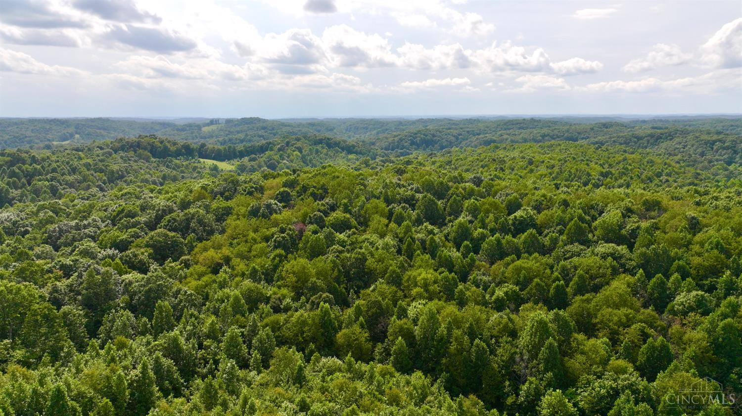 Lick Run Lyra Road, Bloom Twp, OH, 45682 — photo 18