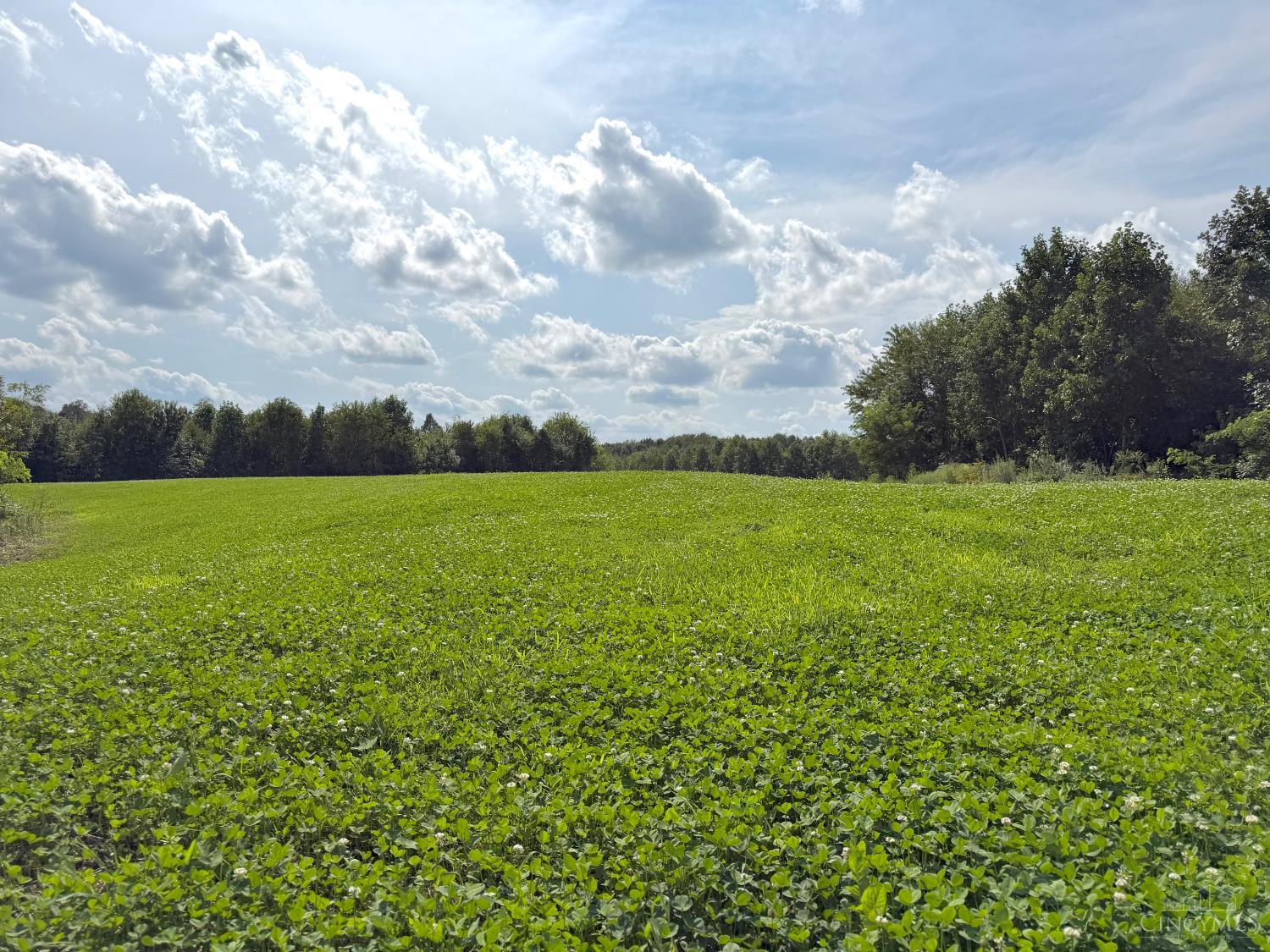 Lick Run Lyra Road, Bloom Twp, OH, 45682 — photo 48
