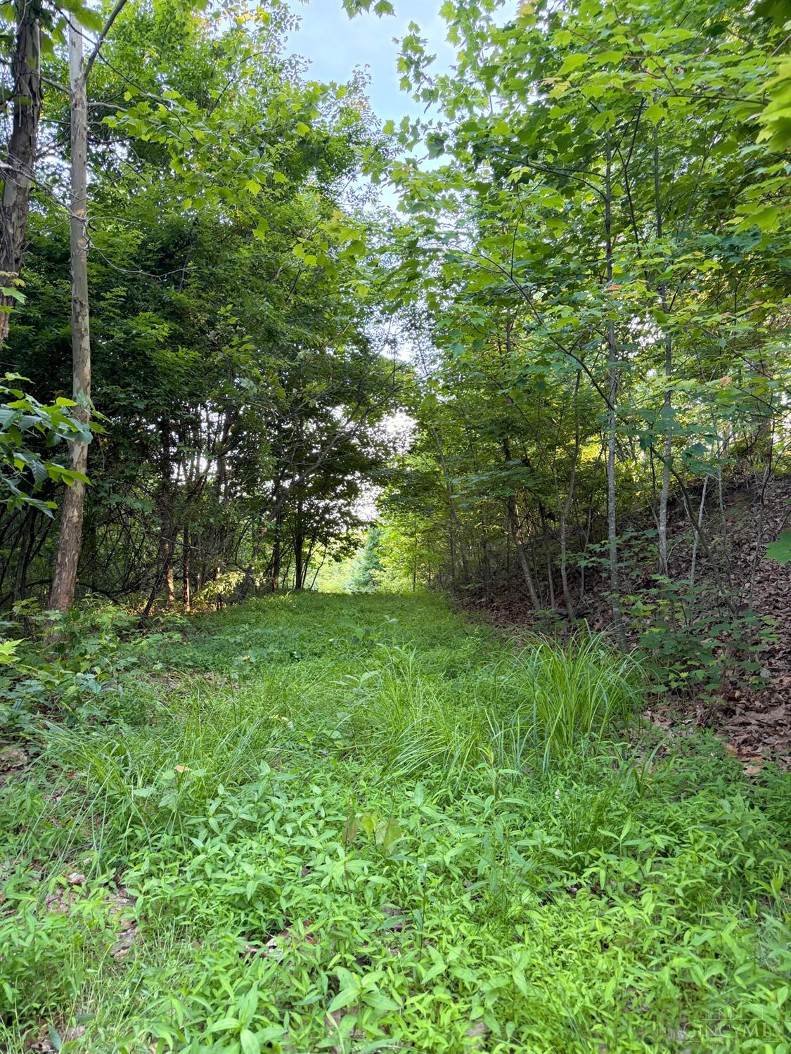 Lick Run Lyra Road, Bloom Twp, OH, 45682 — photo 42