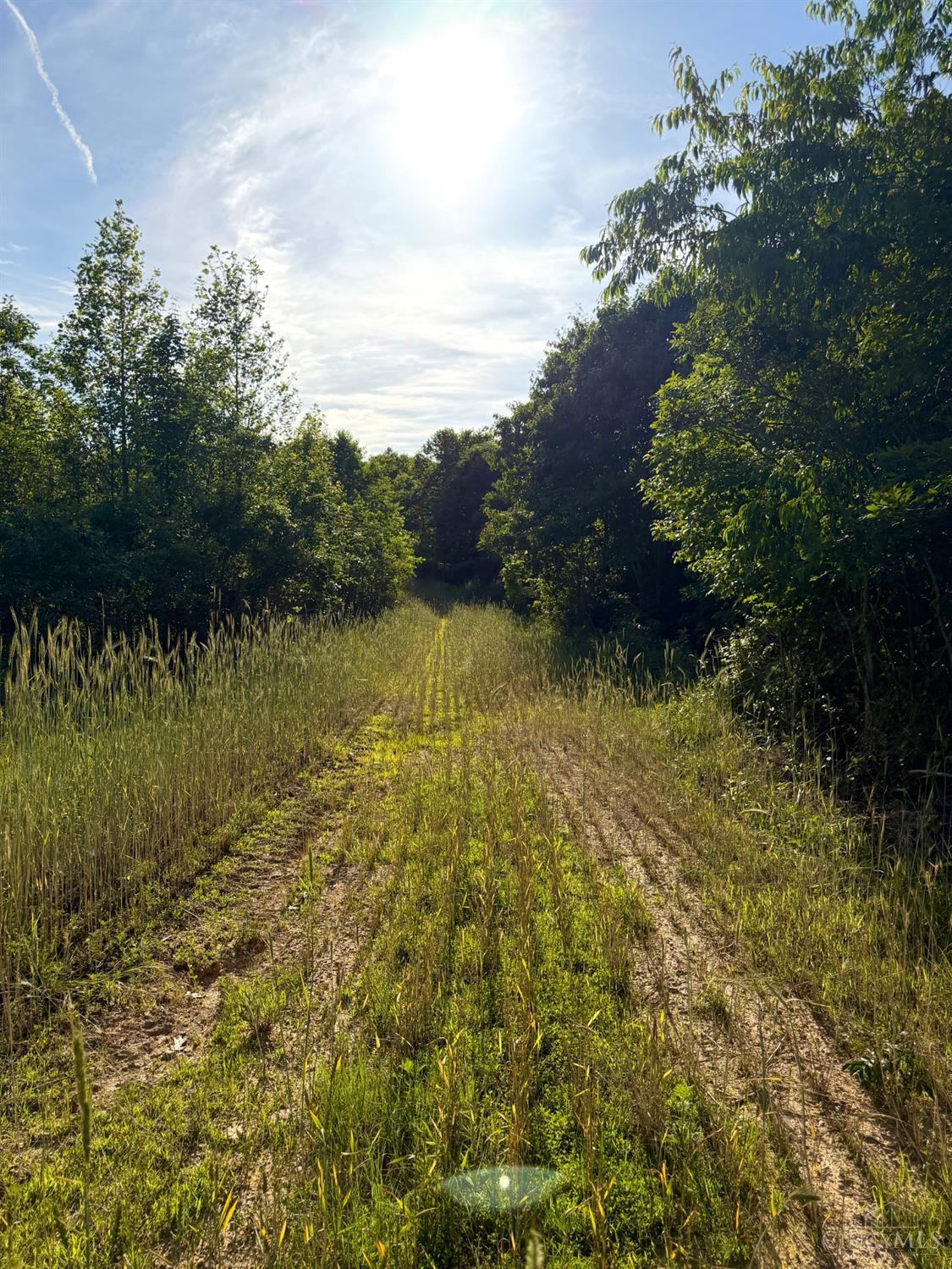 Lick Run Lyra Road, Bloom Twp, OH, 45682 — photo 26