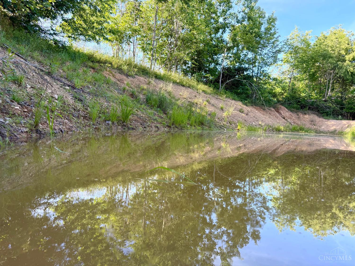 Lick Run Lyra Road, Bloom Twp, OH, 45682 — photo 7