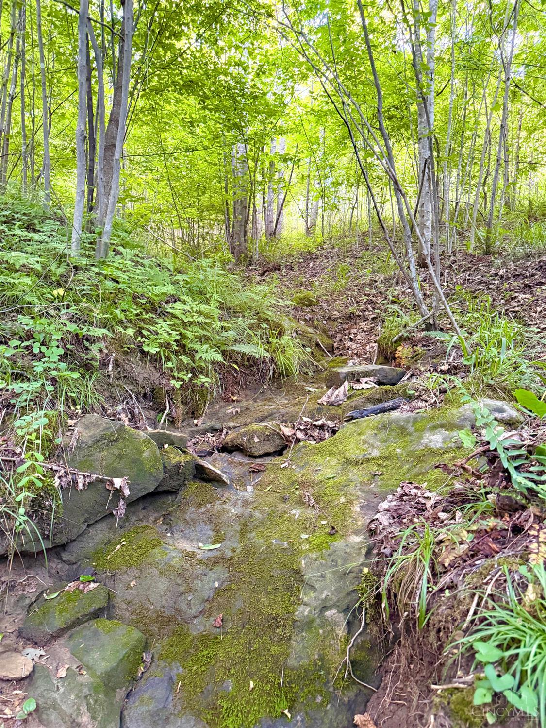 Lick Run Lyra Road, Bloom Twp, OH, 45682 — photo 41