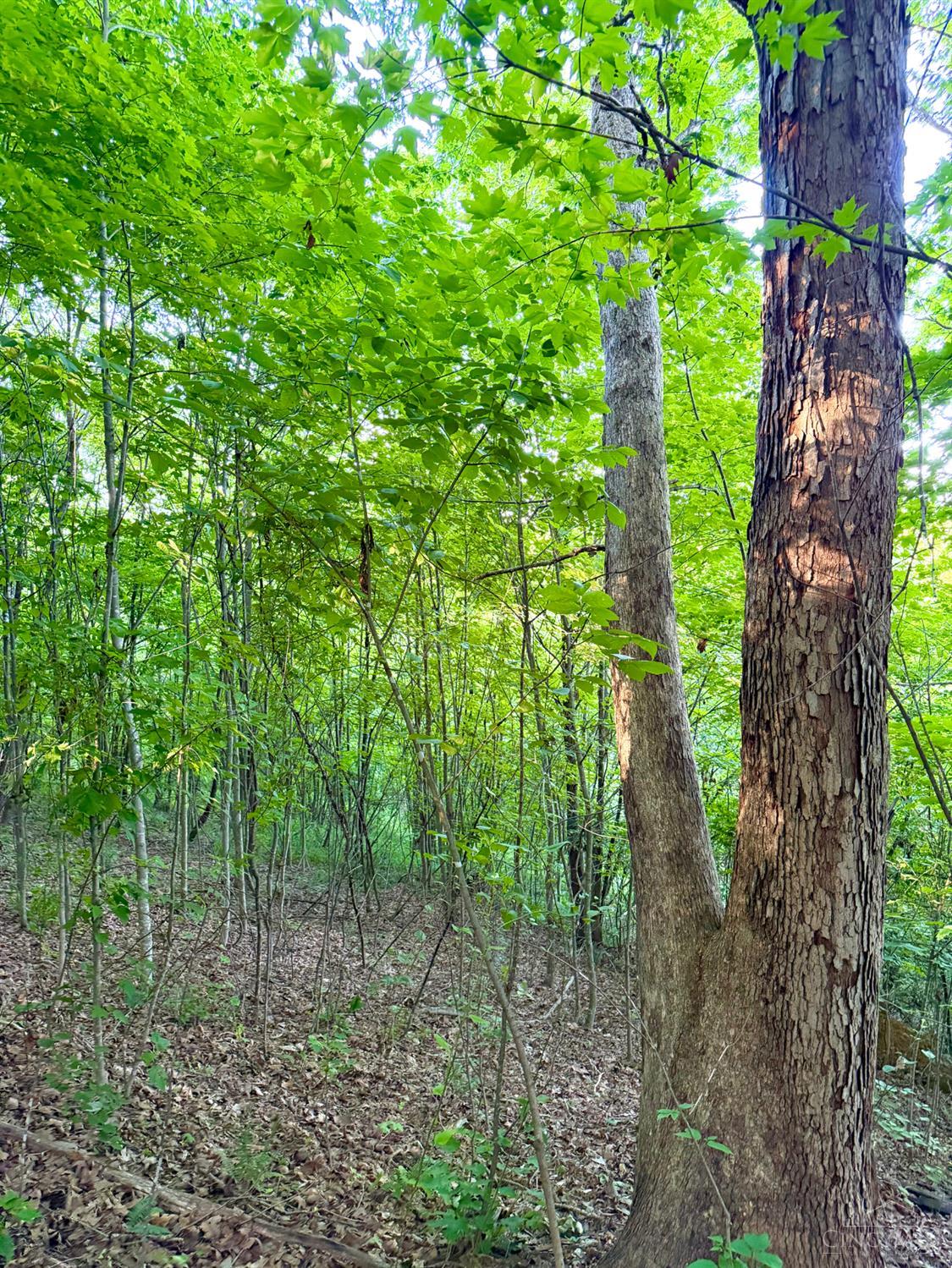 Lick Run Lyra Road, Bloom Twp, OH, 45682 — photo 36