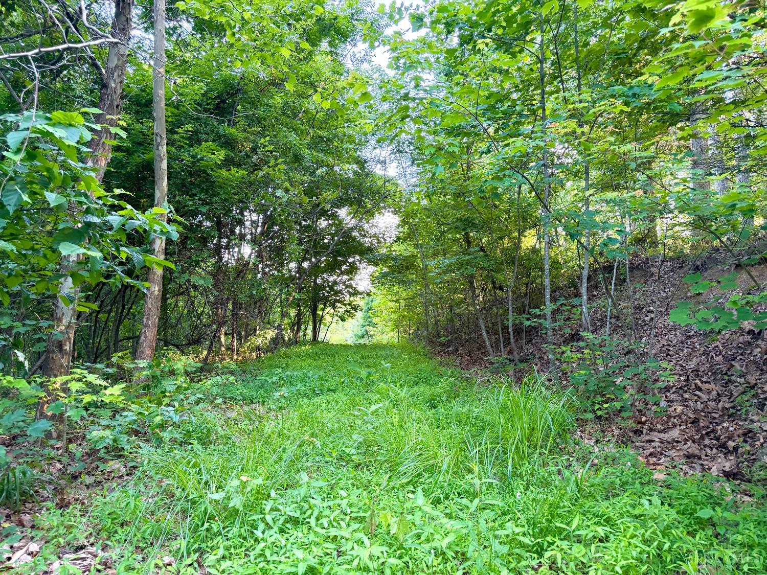 Lick Run Lyra Road, Bloom Twp, OH, 45682 — photo 11