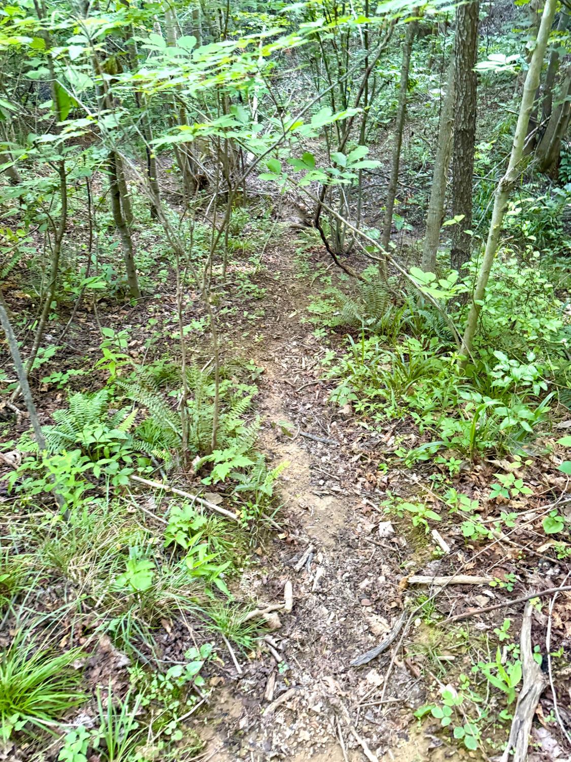 Lick Run Lyra Road, Bloom Twp, OH, 45682 — photo 32