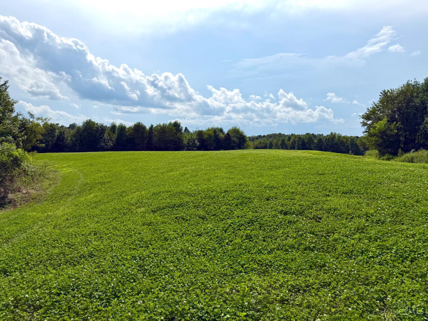 Lick Run Lyra Road, Bloom Twp, OH, 45682 — photo 58