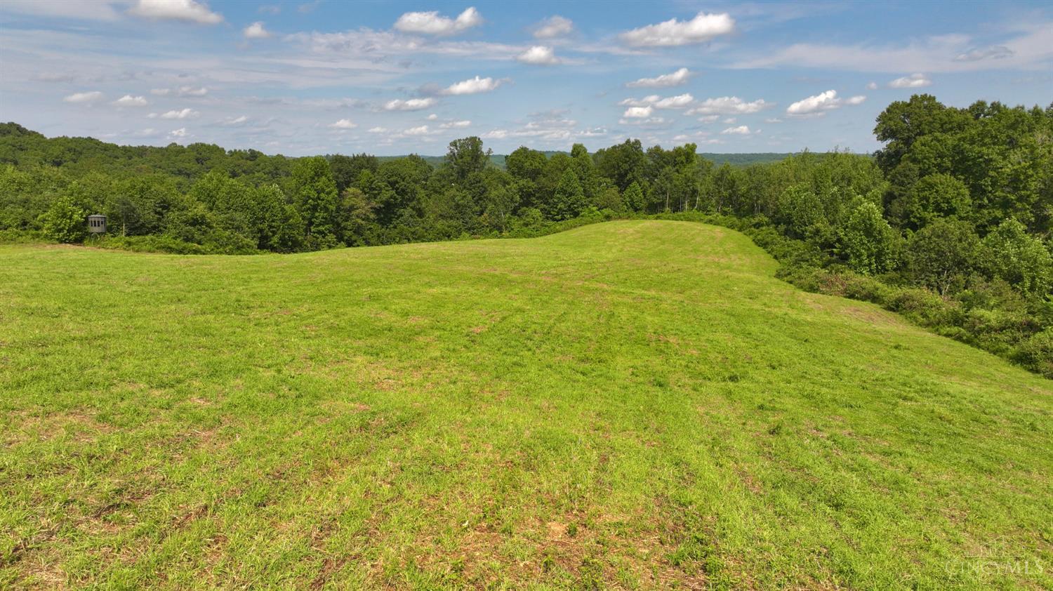 Lick Run Lyra Road, Bloom Twp, OH, 45682 — photo 14