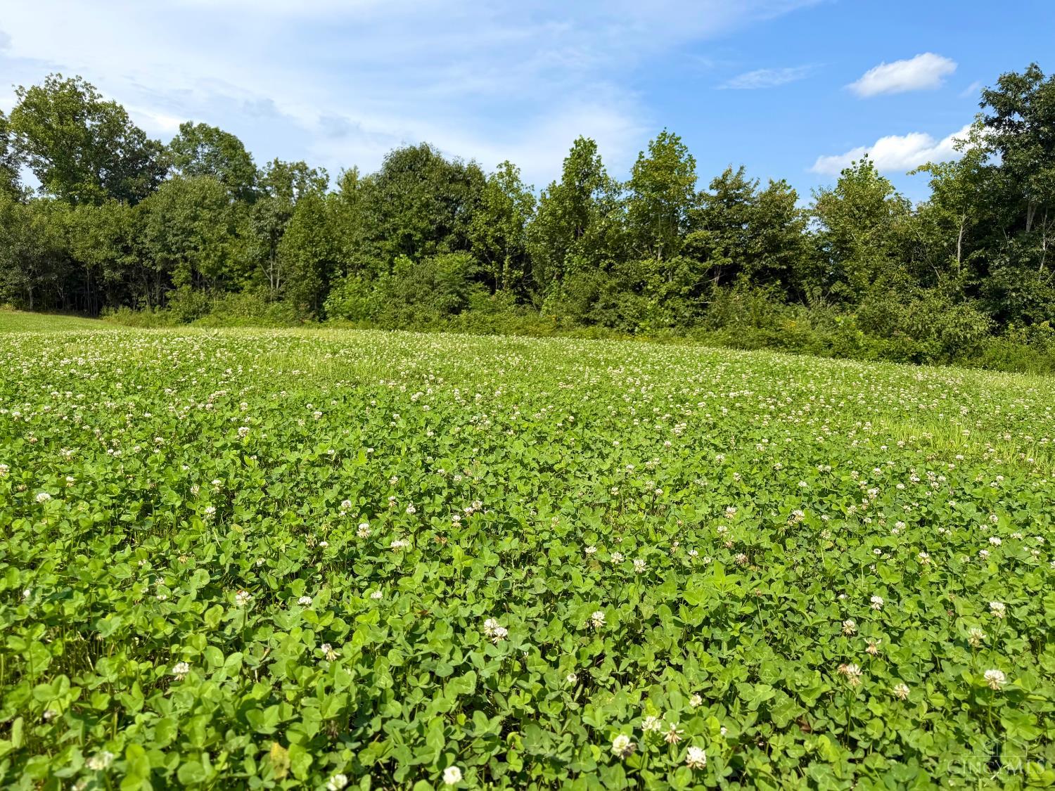 Lick Run Lyra Road, Bloom Twp, OH, 45682 — photo 47